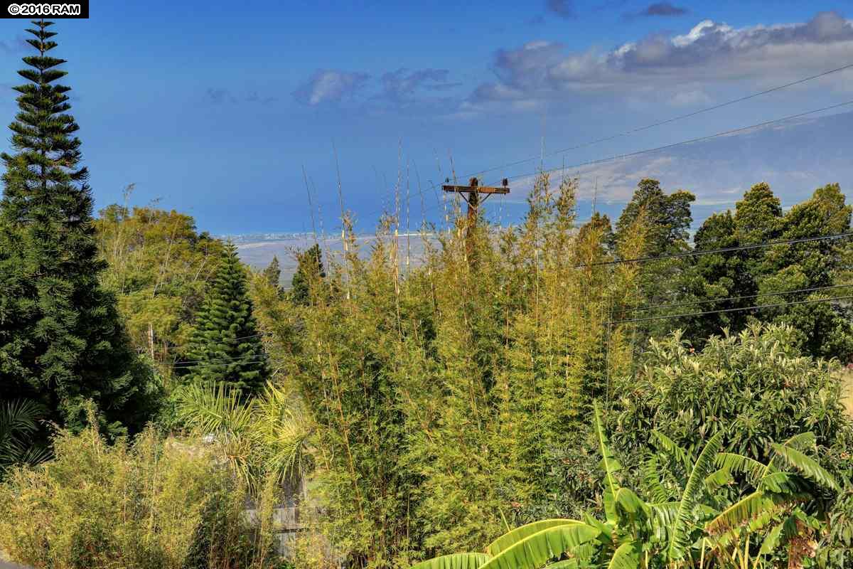 34  Meakoho Pl , Kula/Ulupalakua/Kanaio home - photo 29 of 30