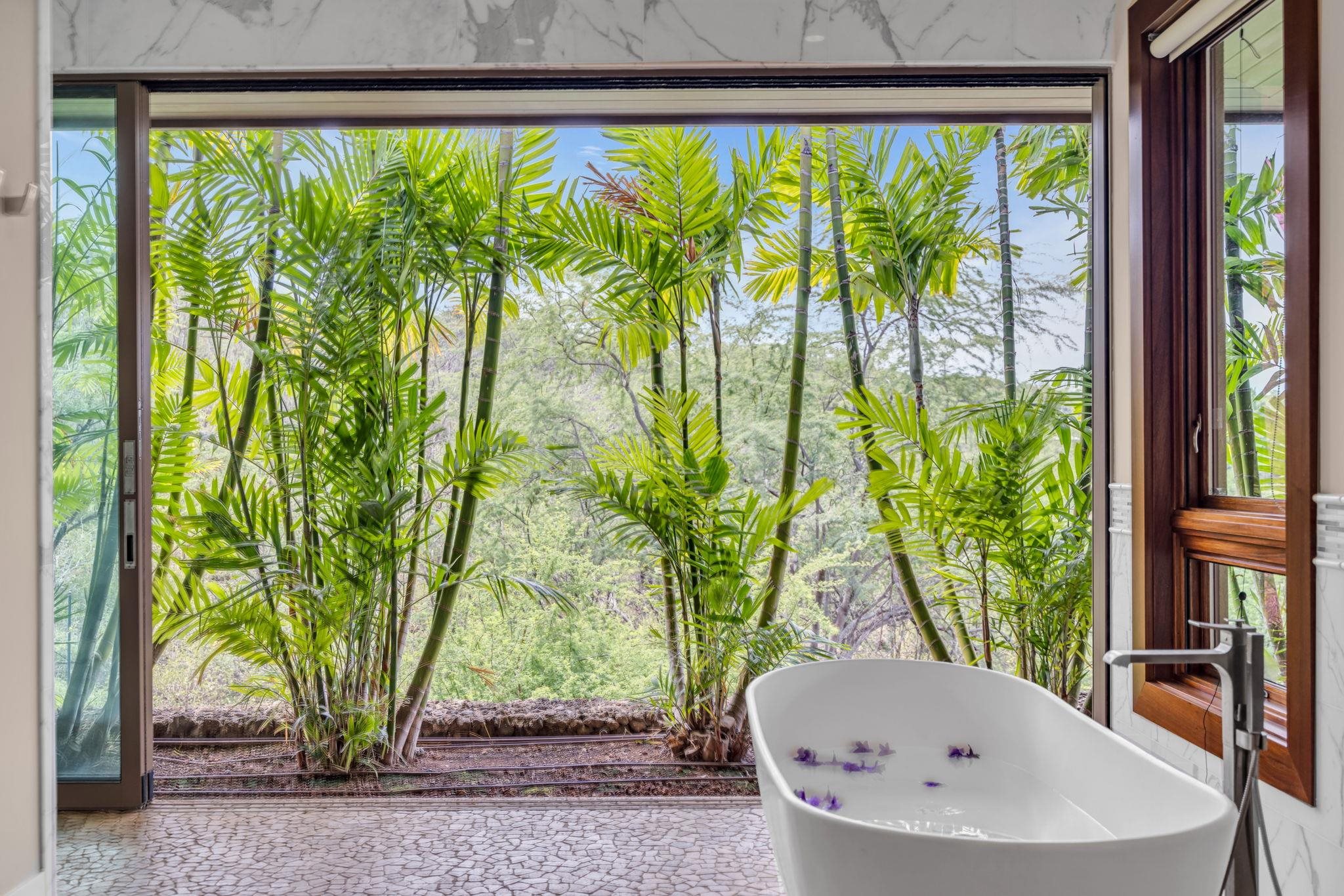 34  Ualei Pl , Wailea/Makena home - photo 26 of 50