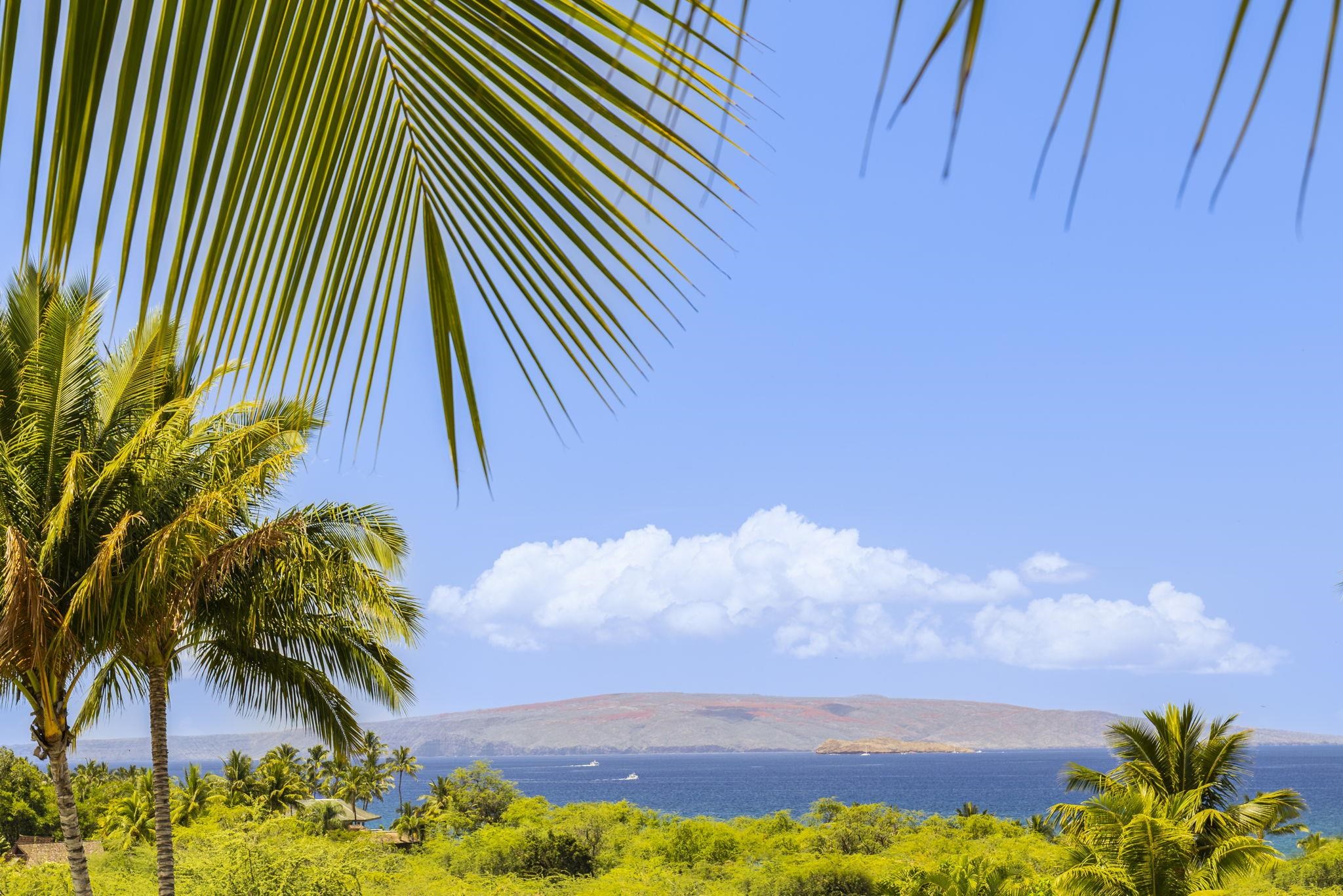 34  Ualei Pl , Wailea/Makena home - photo 48 of 50