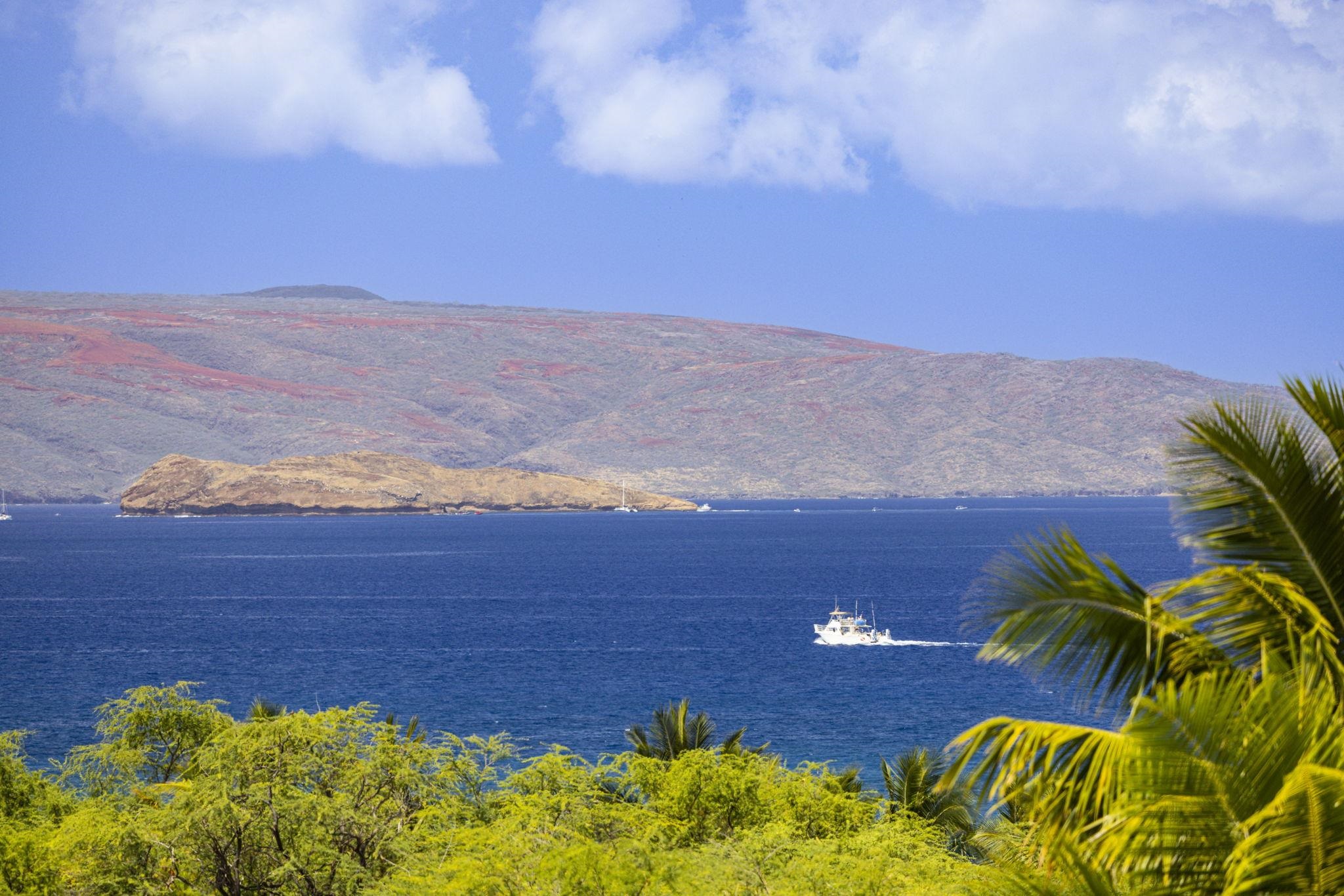 34  Ualei Pl , Wailea/Makena home - photo 49 of 50