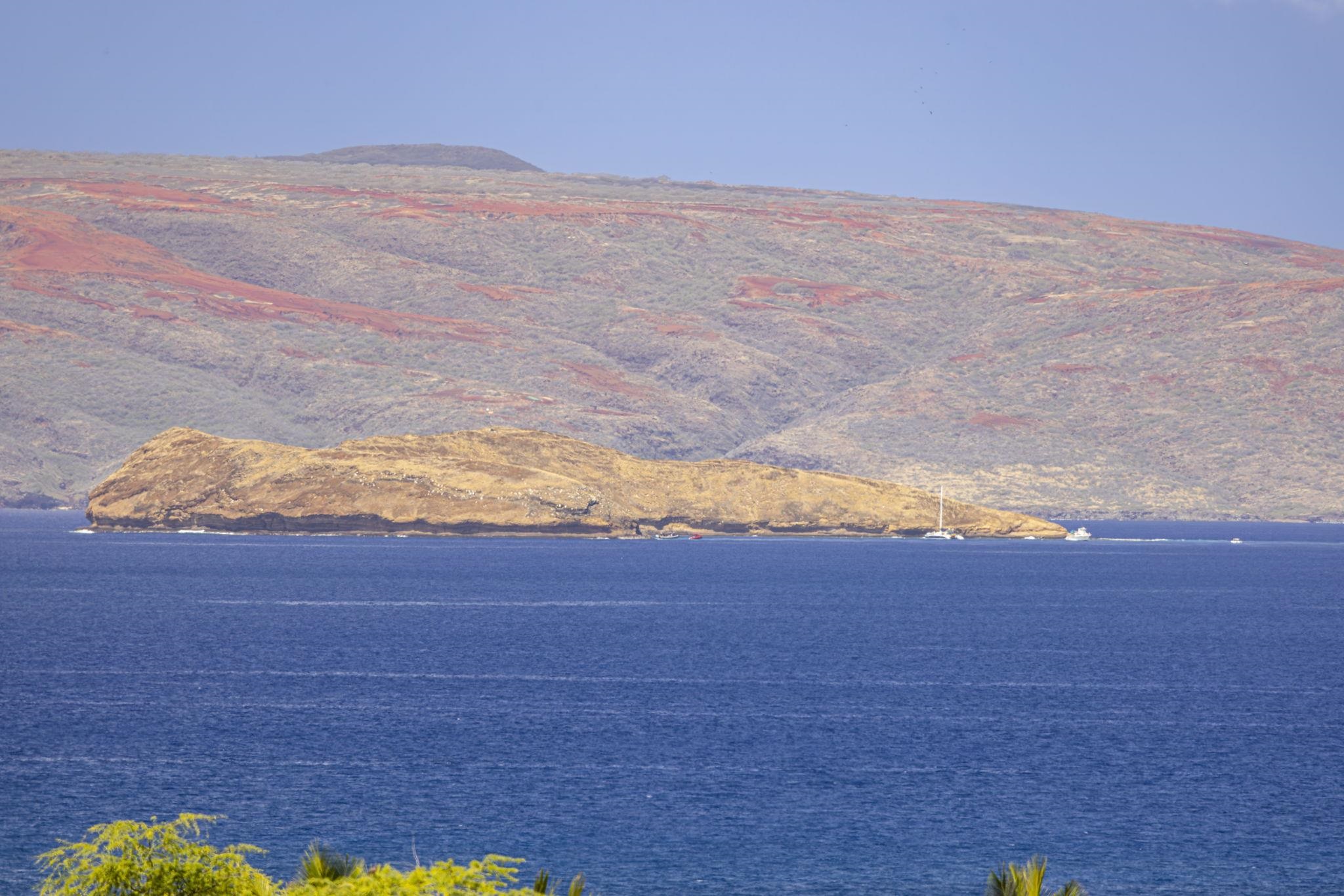 34  Ualei Pl , Wailea/Makena home - photo 50 of 50