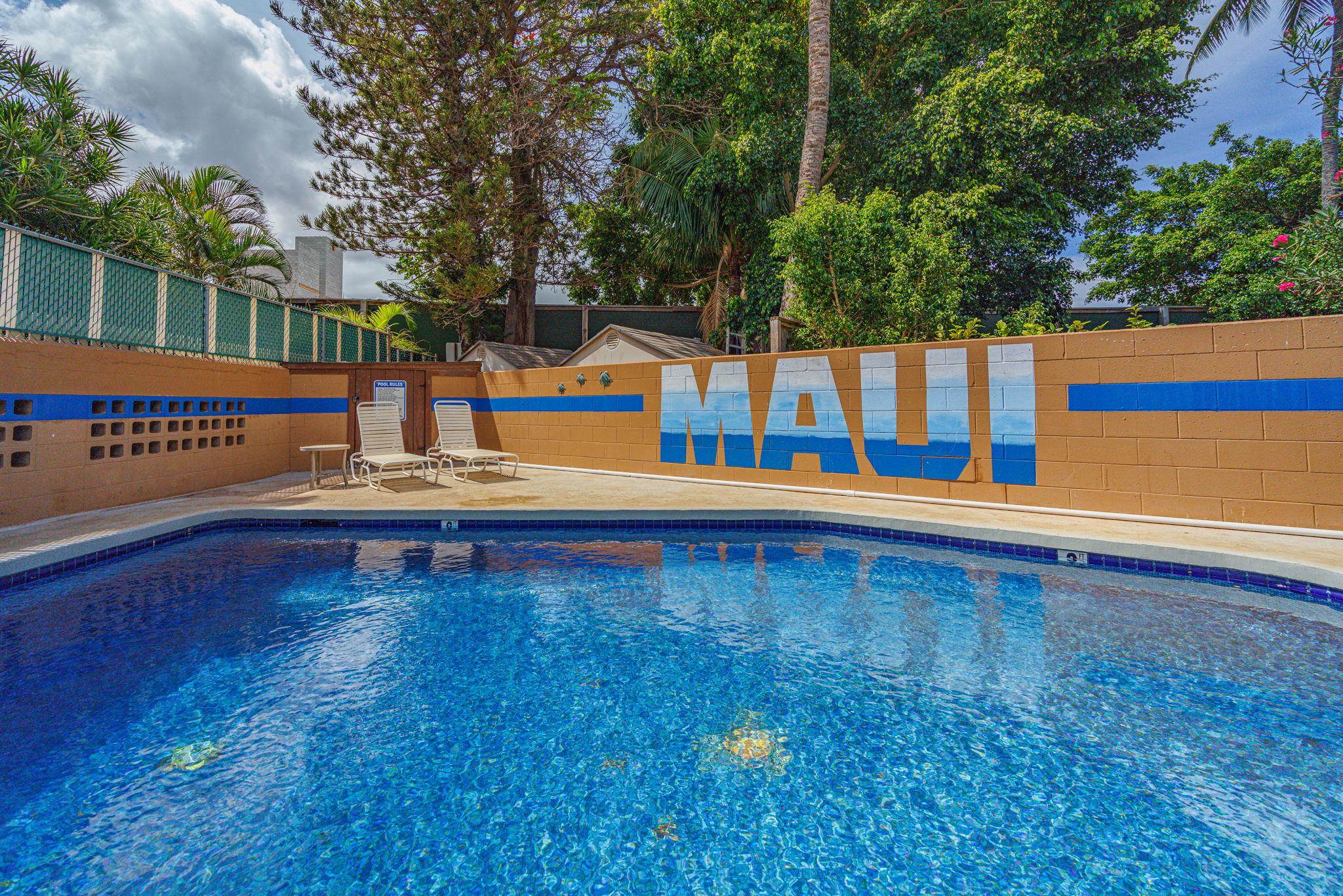 Wailana Kai condo # 102, Kihei, Hawaii - photo 23 of 49