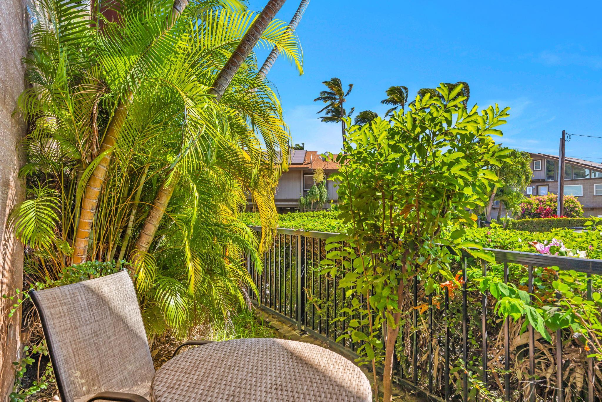 Wailana Kai condo # 102, Kihei, Hawaii - photo 35 of 49