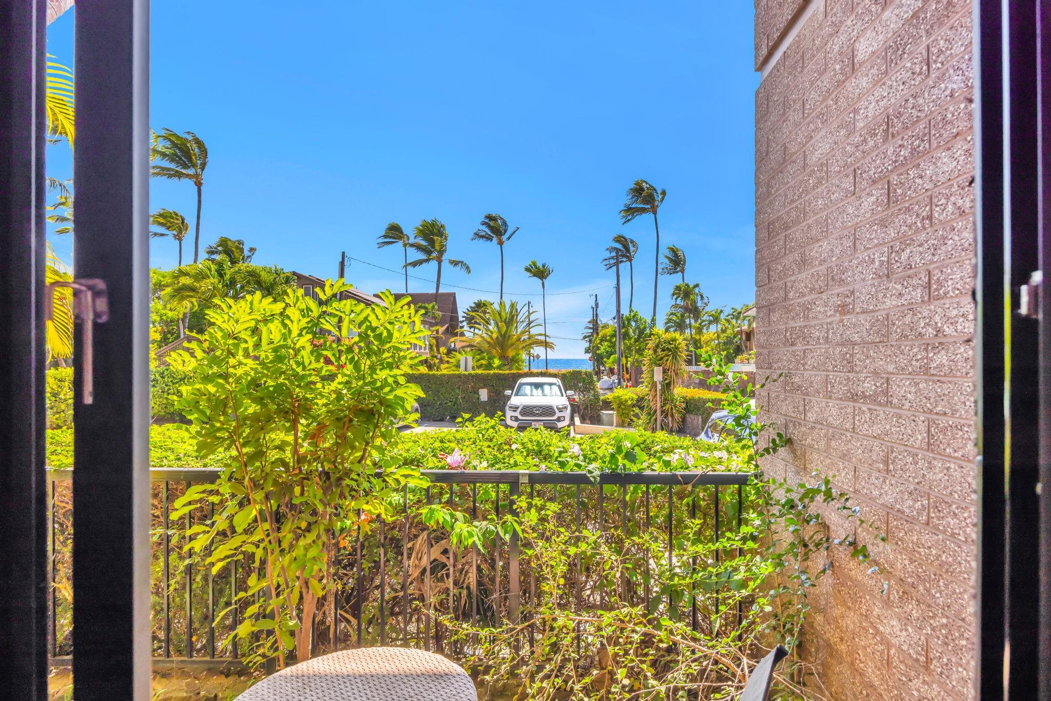 Wailana Kai condo # 102, Kihei, Hawaii - photo 40 of 49