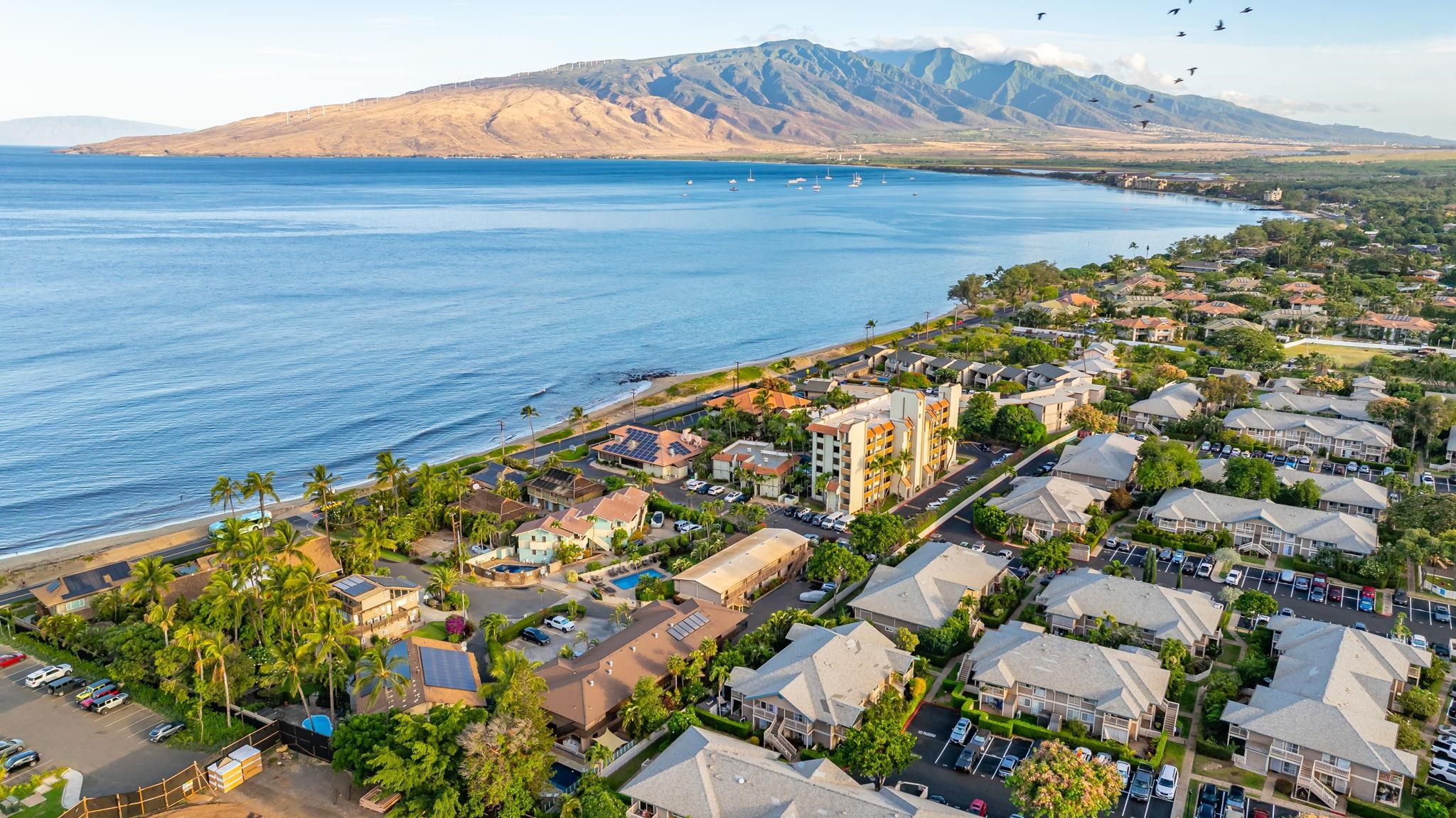 Wailana Kai condo # 102, Kihei, Hawaii - photo 41 of 49