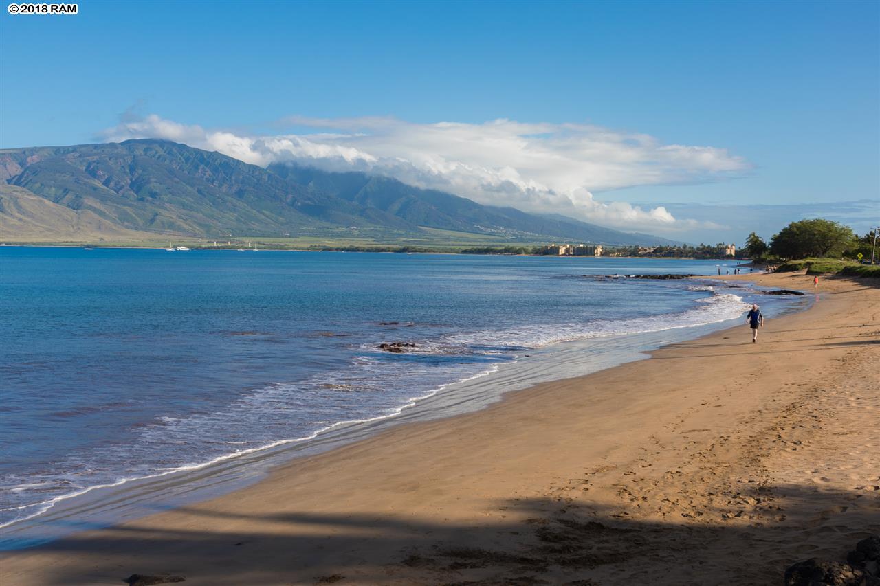 Wailana Kai condo # 104, Kihei, Hawaii - photo 24 of 26