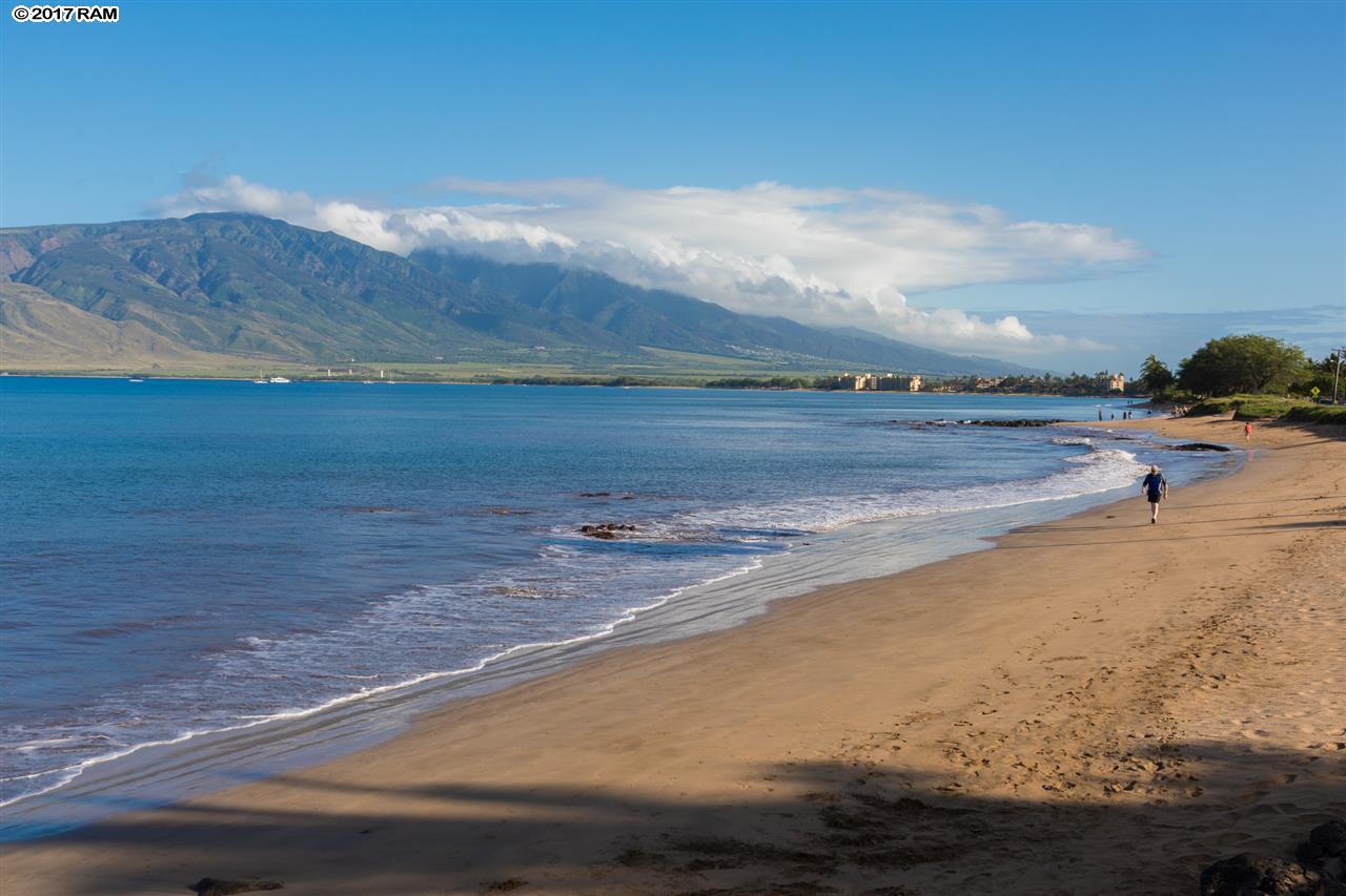 Wailana Kai condo # 105, Kihei, Hawaii - photo 28 of 28
