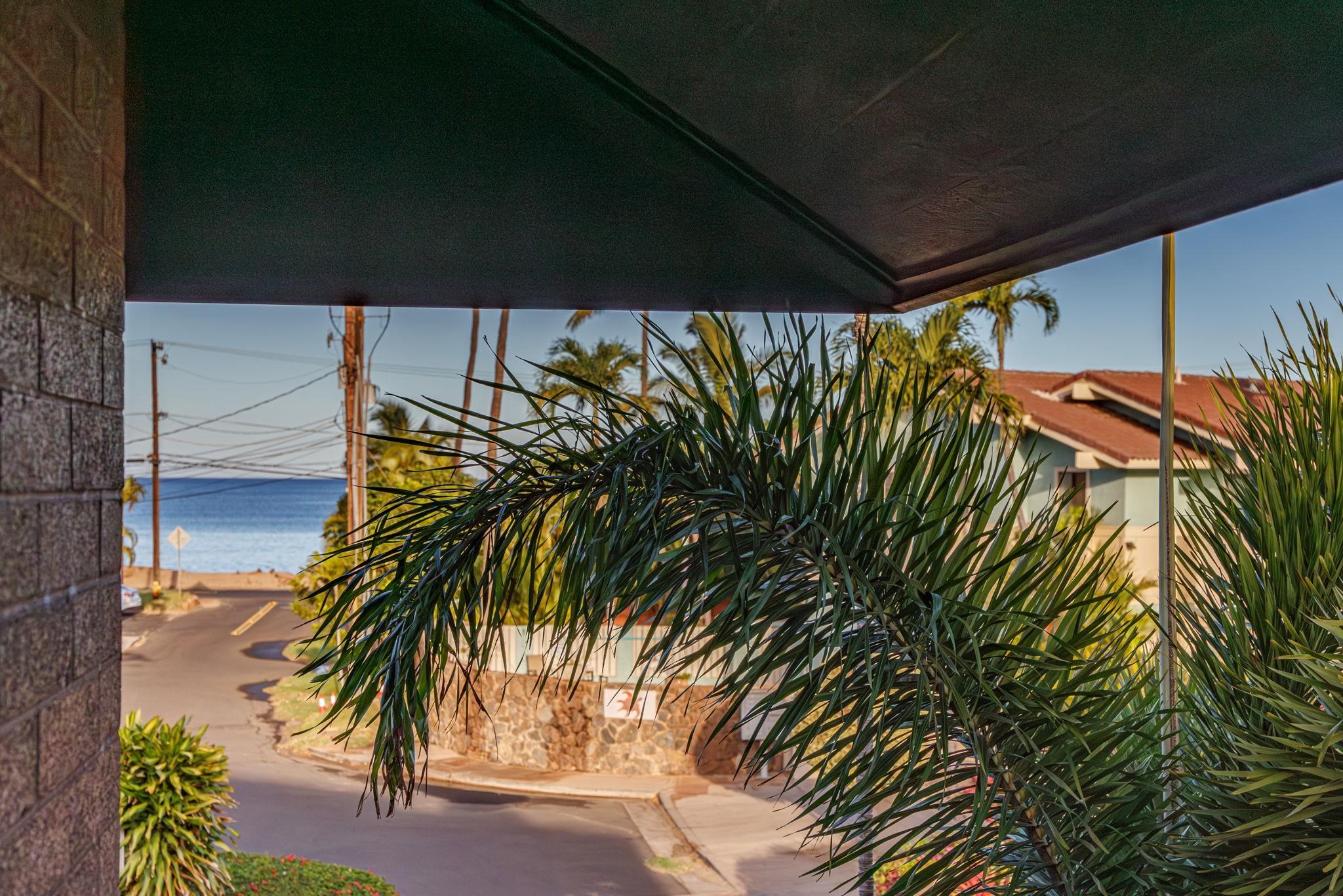 Wailana Kai condo # 201, Kihei, Hawaii - photo 26 of 44