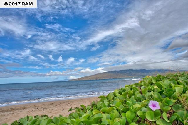 Wailana Kai condo # 203, Kihei, Hawaii - photo 27 of 30