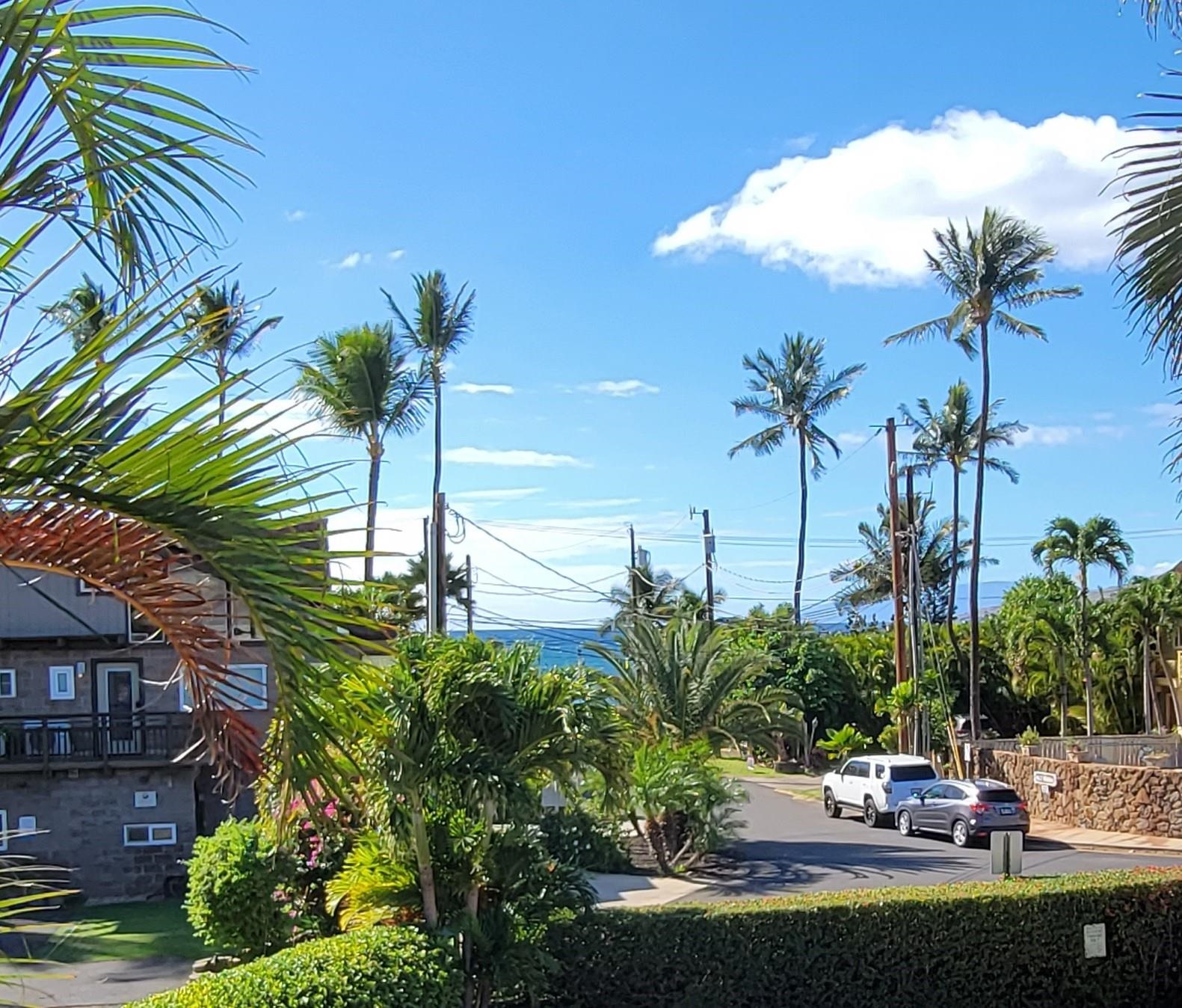 Wailana Kai condo # 204, Kihei, Hawaii - photo 2 of 28