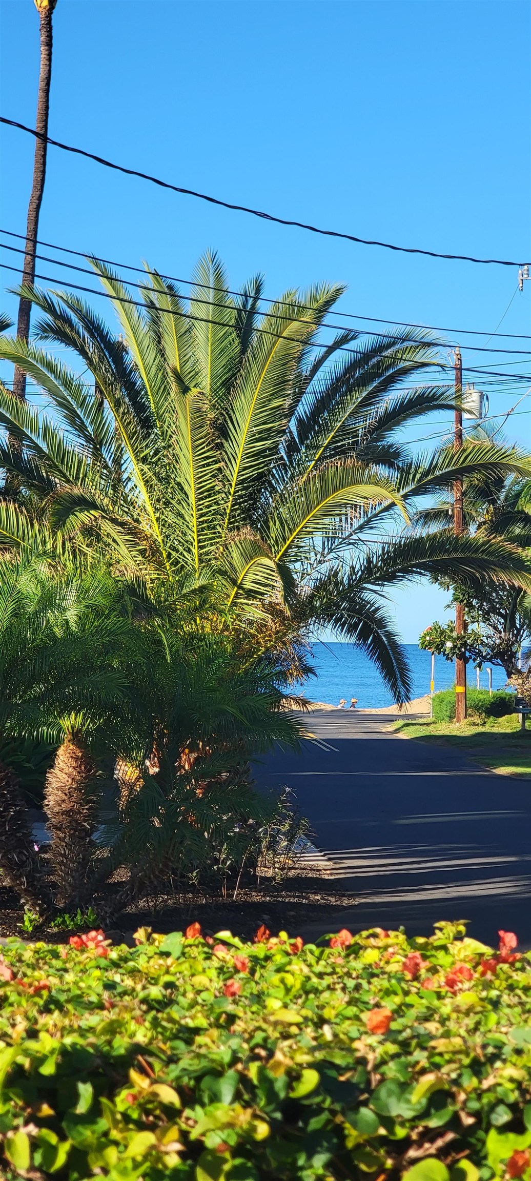 Wailana Kai condo # 204, Kihei, Hawaii - photo 22 of 28