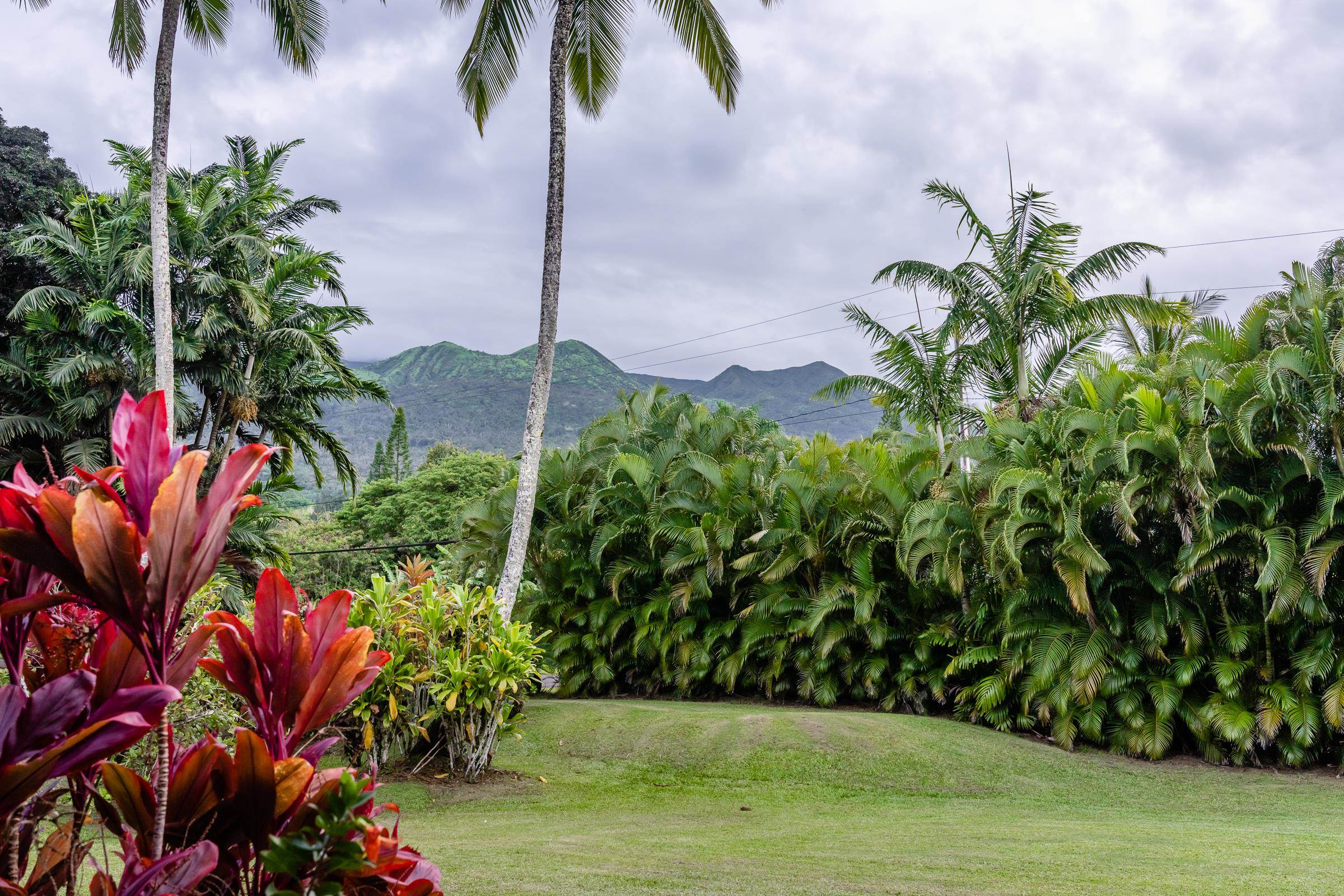 340  Alalele Pl Ka'eleku, Hana home - photo 37 of 46