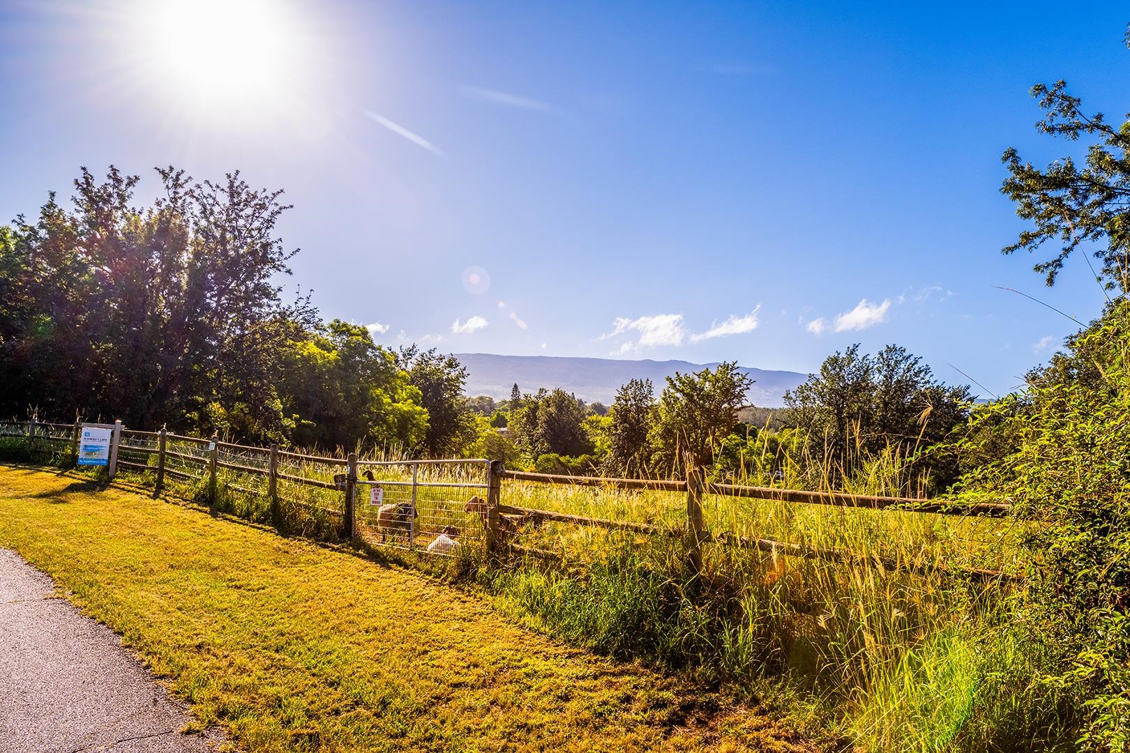 340 Aulii Dr  Makawao, Hi vacant land for sale - photo 2 of 36