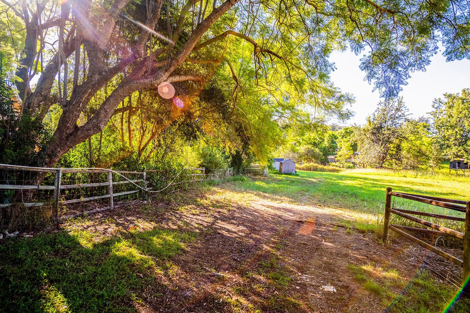 340 Aulii Dr  Makawao, Hi vacant land for sale - photo 14 of 36