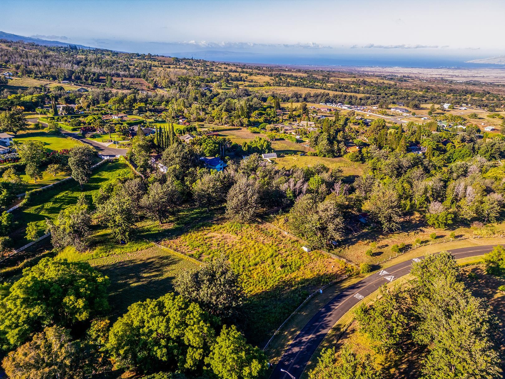 340 Aulii Dr  Makawao, Hi vacant land for sale - photo 16 of 36