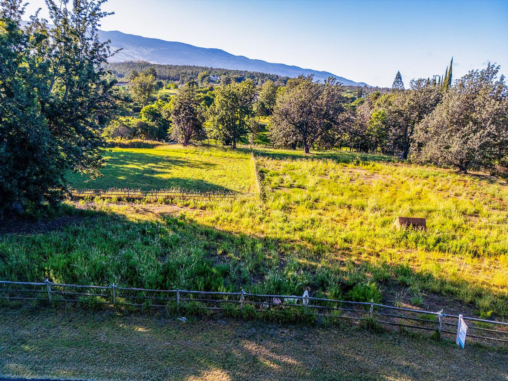 340 Aulii Dr  Makawao, Hi vacant land for sale - photo 22 of 36