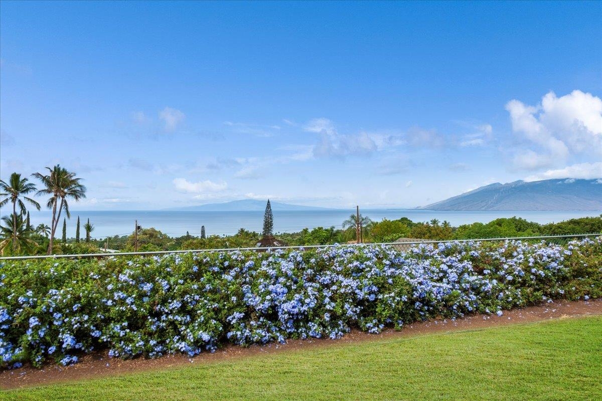 3414  Keha Dr , Maui Meadows home - photo 18 of 38