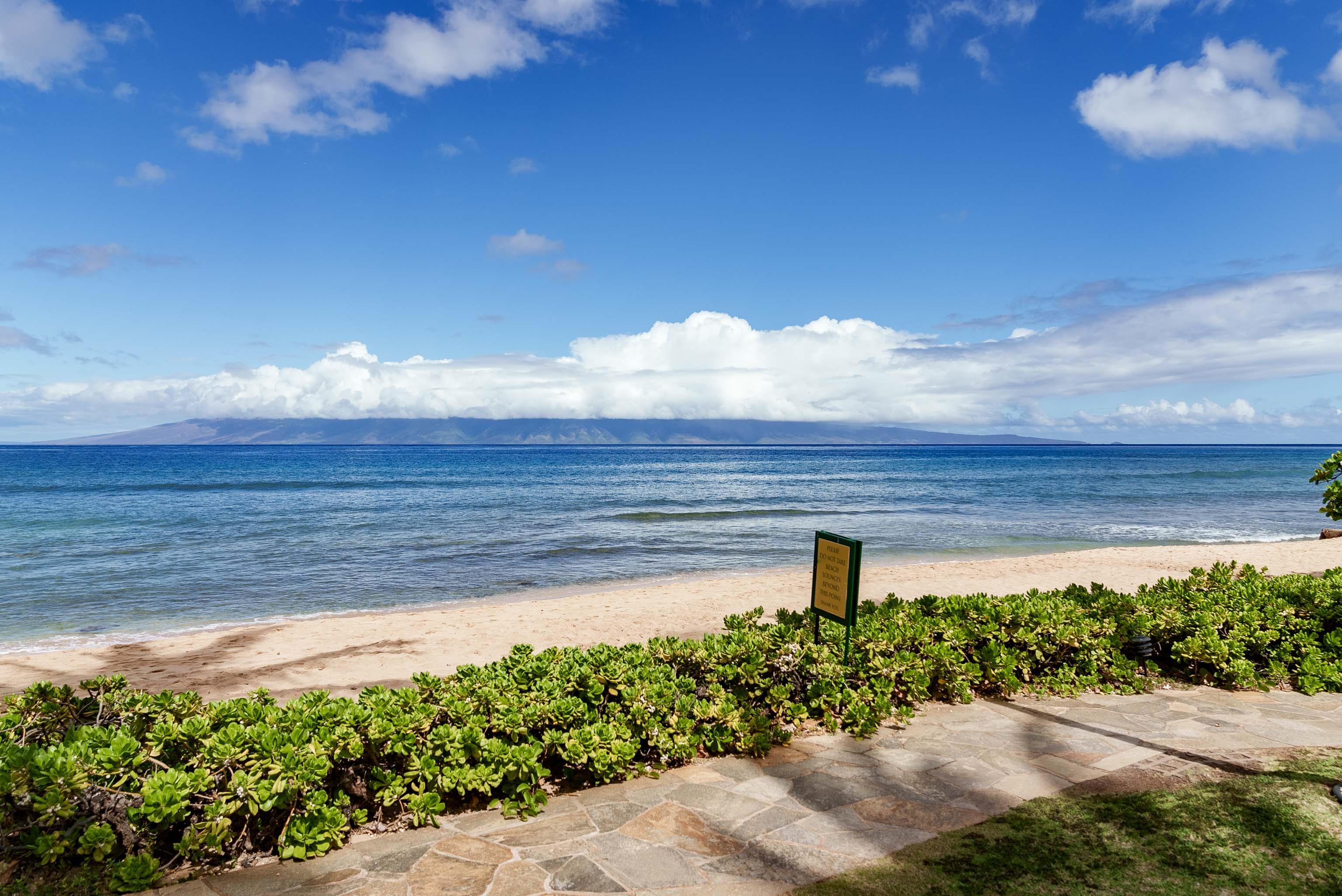 Kaanapali Shores condo # 102, Lahaina, Hawaii - photo 9 of 49