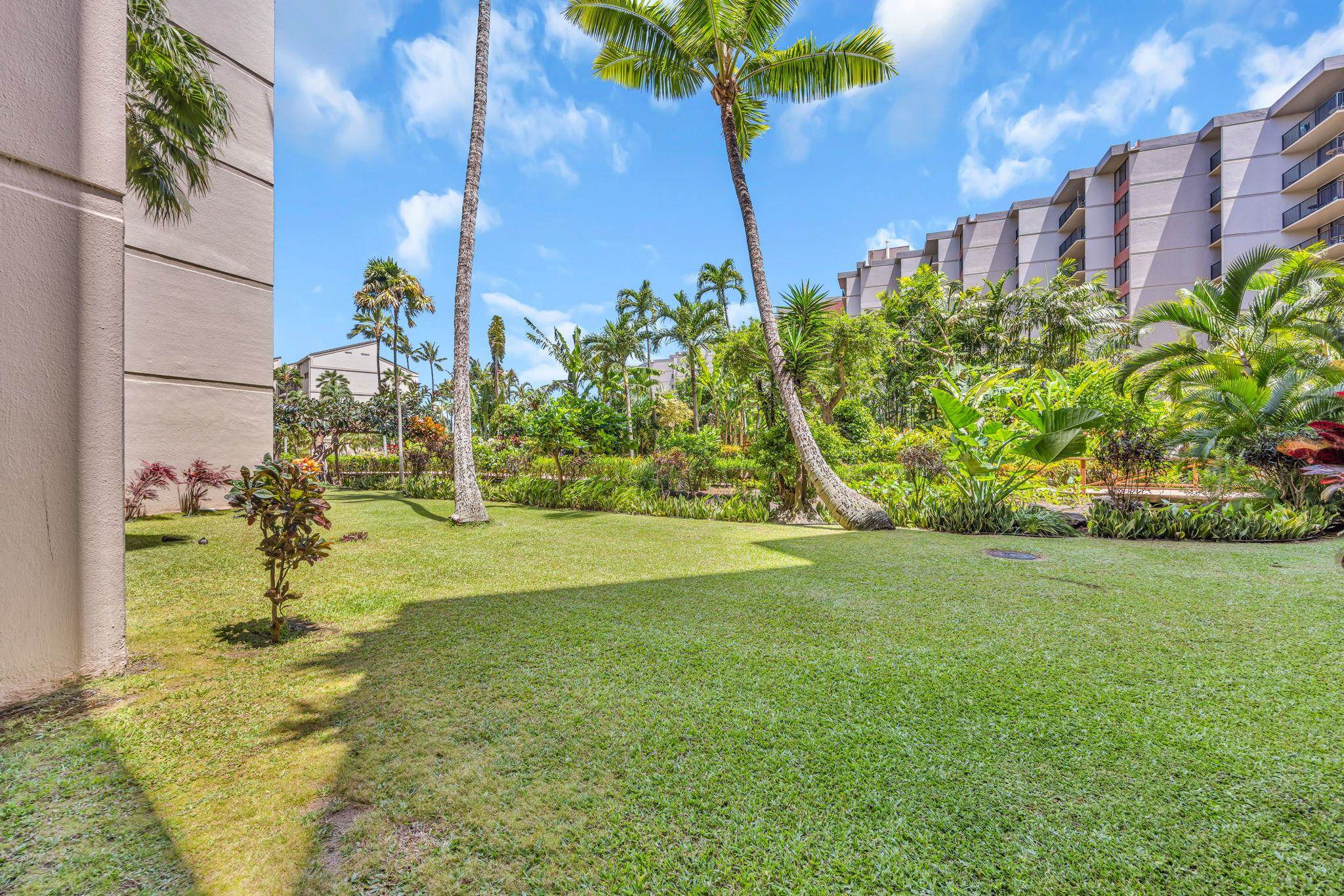 Kaanapali Shores condo # 137, Lahaina, Hawaii - photo 13 of 43