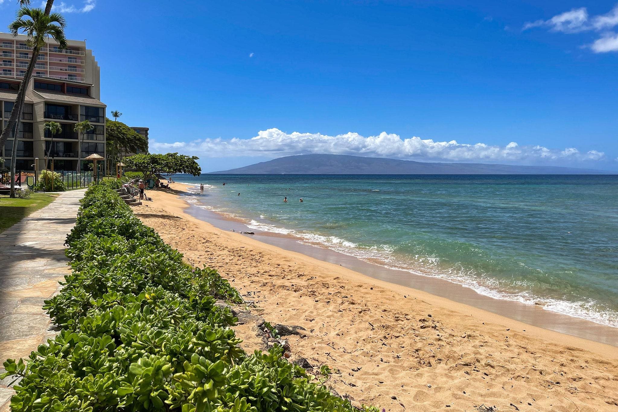 Kaanapali Shores condo # 144, Lahaina, Hawaii - photo 24 of 30