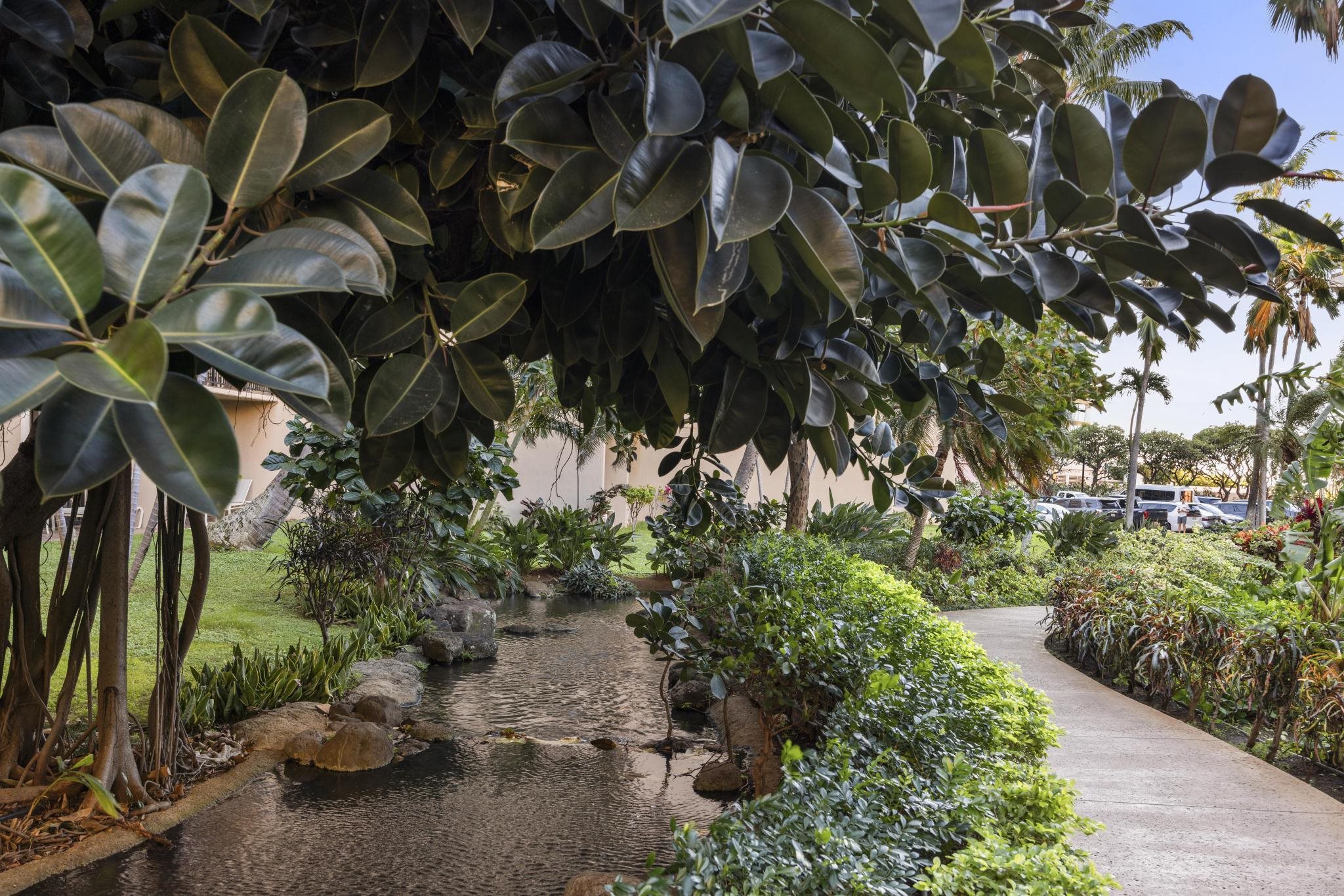 Kaanapali Shores condo # 144, Lahaina, Hawaii - photo 30 of 38
