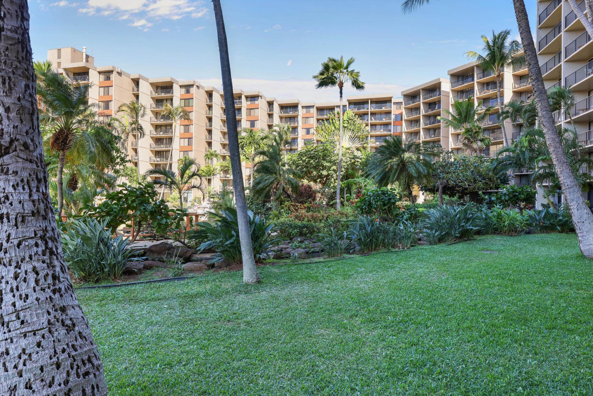 Kaanapali Shores condo # 151, Lahaina, Hawaii - photo 23 of 42
