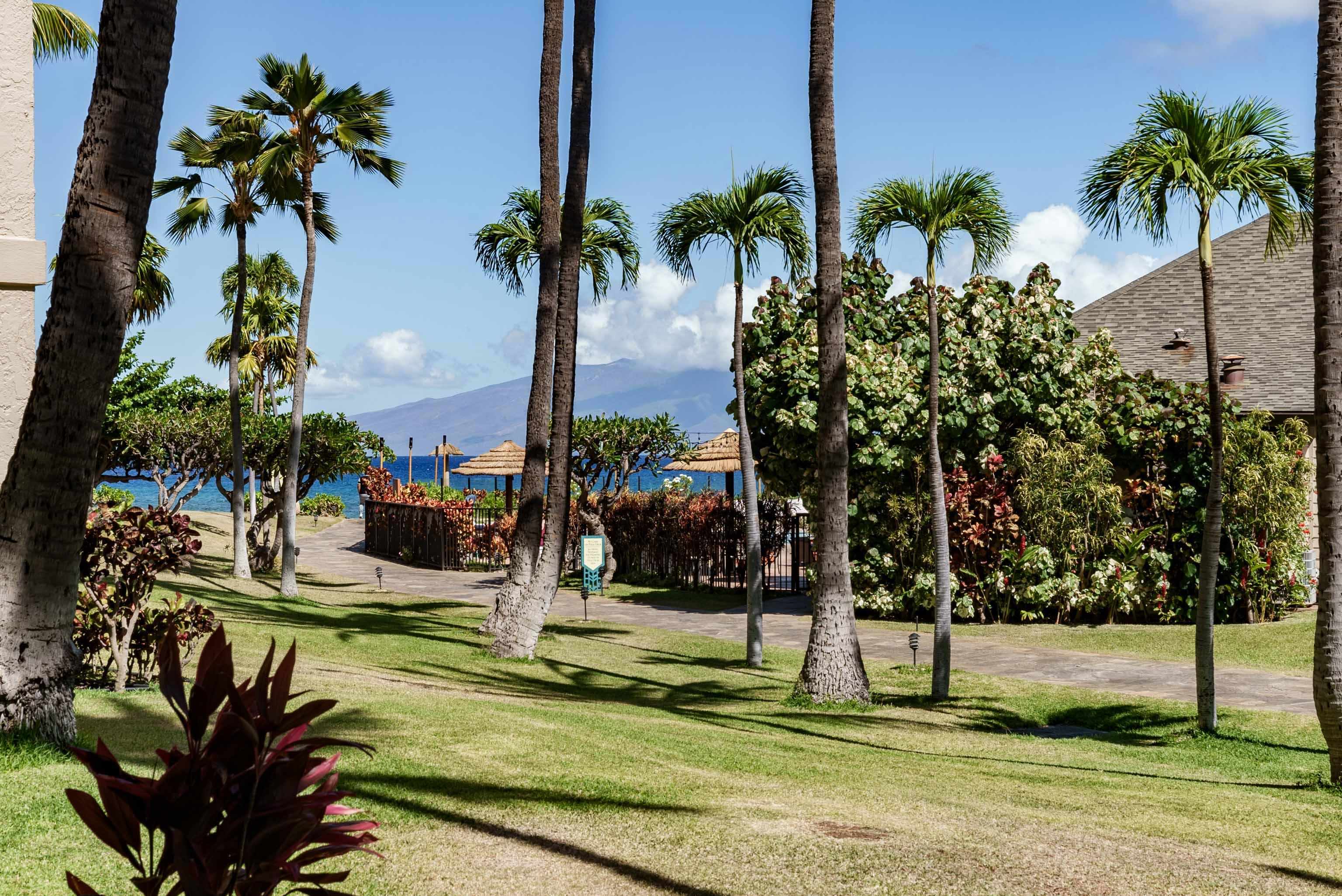 Kaanapali Shores condo # 153, Lahaina, Hawaii - photo 39 of 46