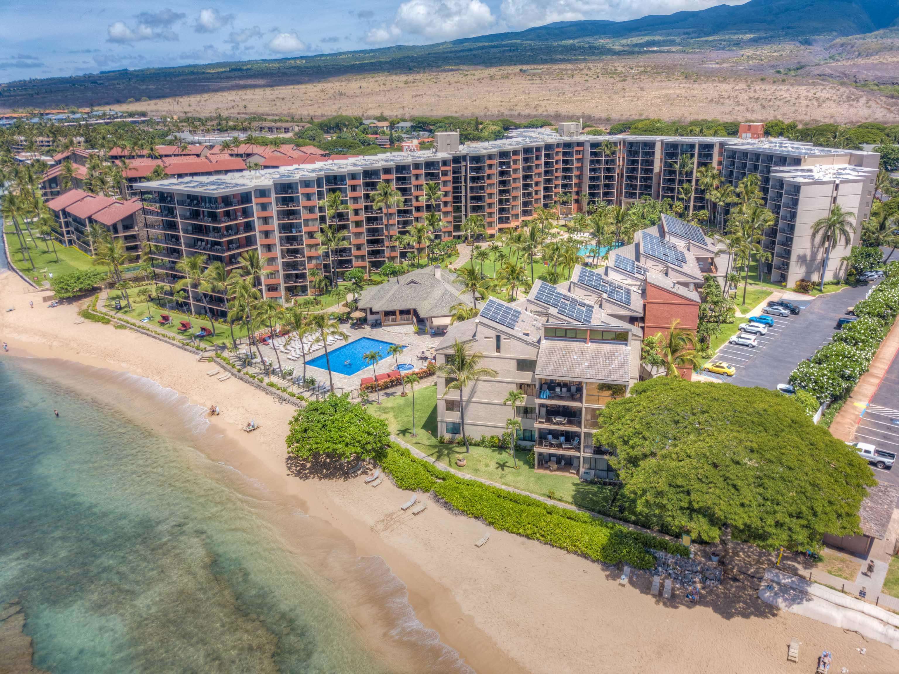 Kaanapali Shores condo # 201, Lahaina, Hawaii - photo 43 of 45