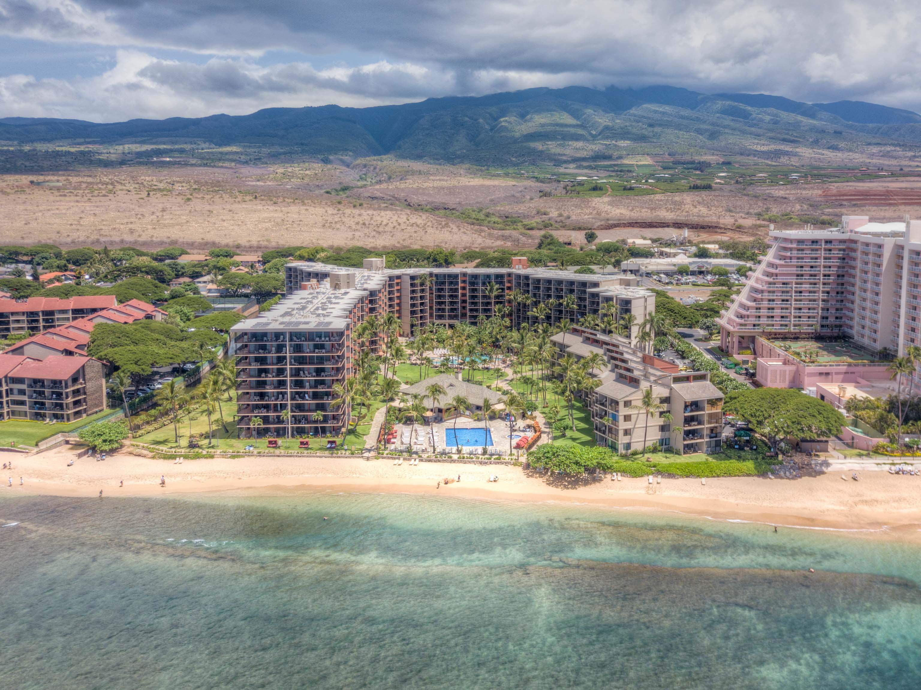 Kaanapali Shores condo # 201, Lahaina, Hawaii - photo 44 of 45