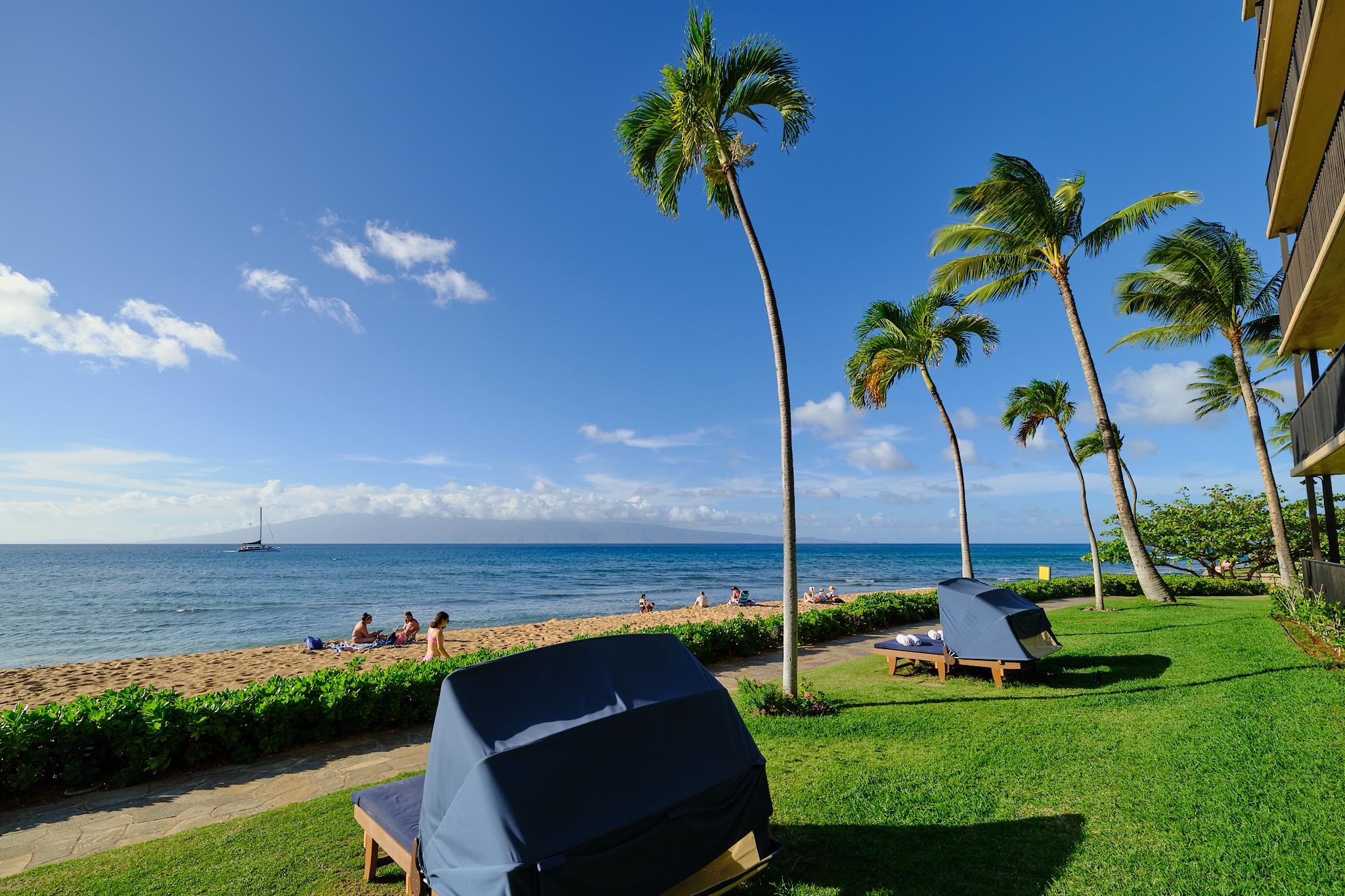 Kaanapali Shores condo # 212, Lahaina, Hawaii - photo 19 of 39