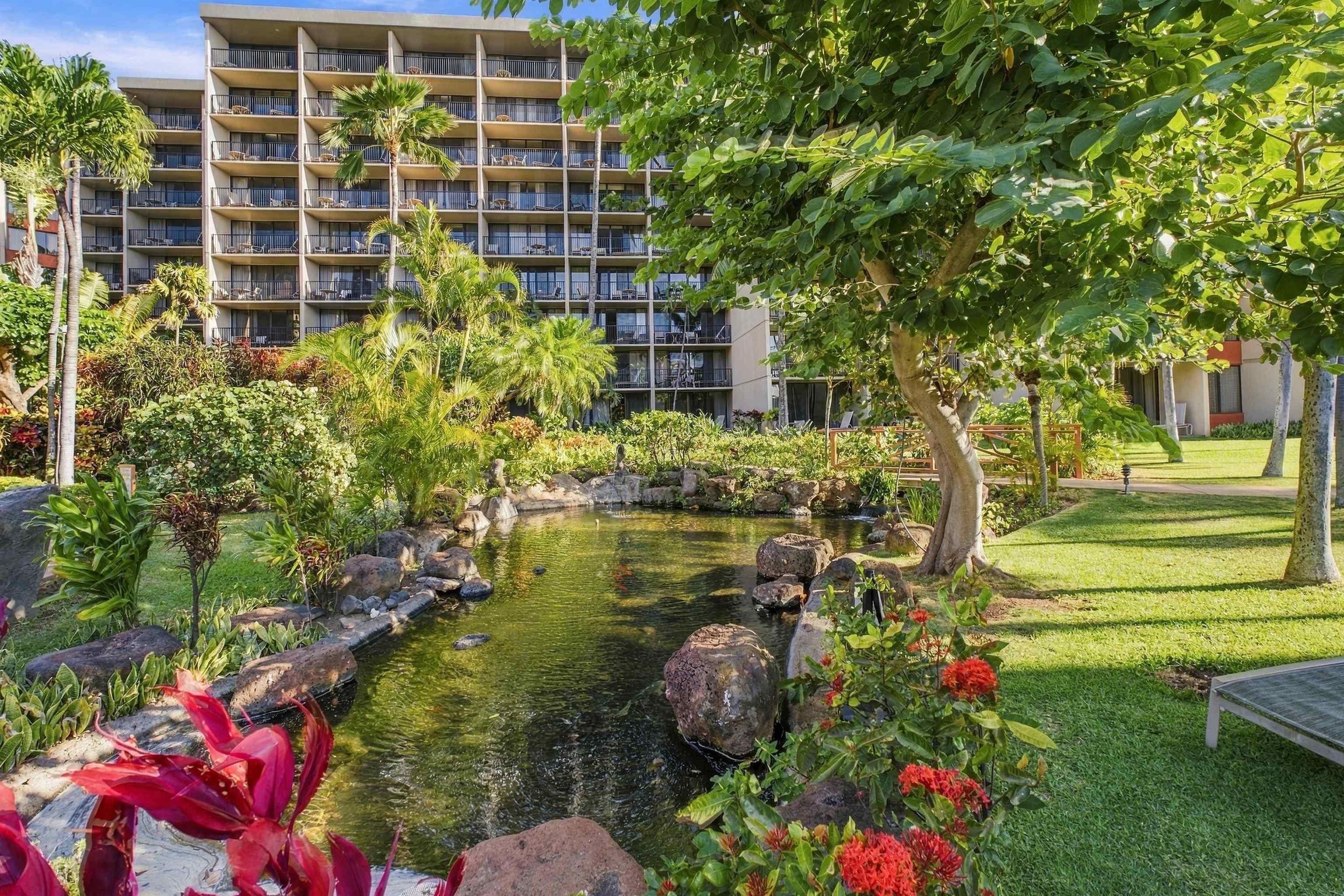 Kaanapali Shores condo # 254, Lahaina, Hawaii - photo 32 of 35