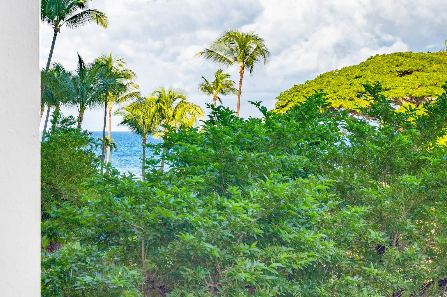 Kaanapali Shores condo # 322, Lahaina, Hawaii - photo 9 of 48