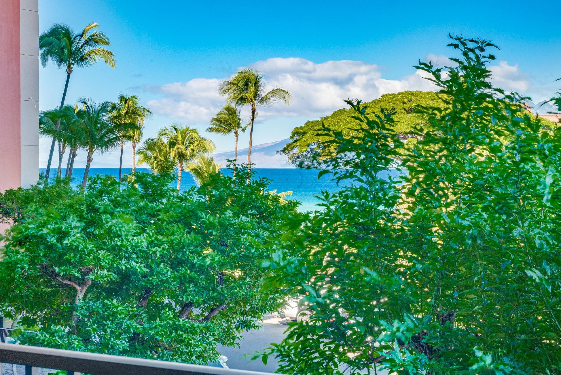 Kaanapali Shores condo # 324, Lahaina, Hawaii - photo 25 of 48