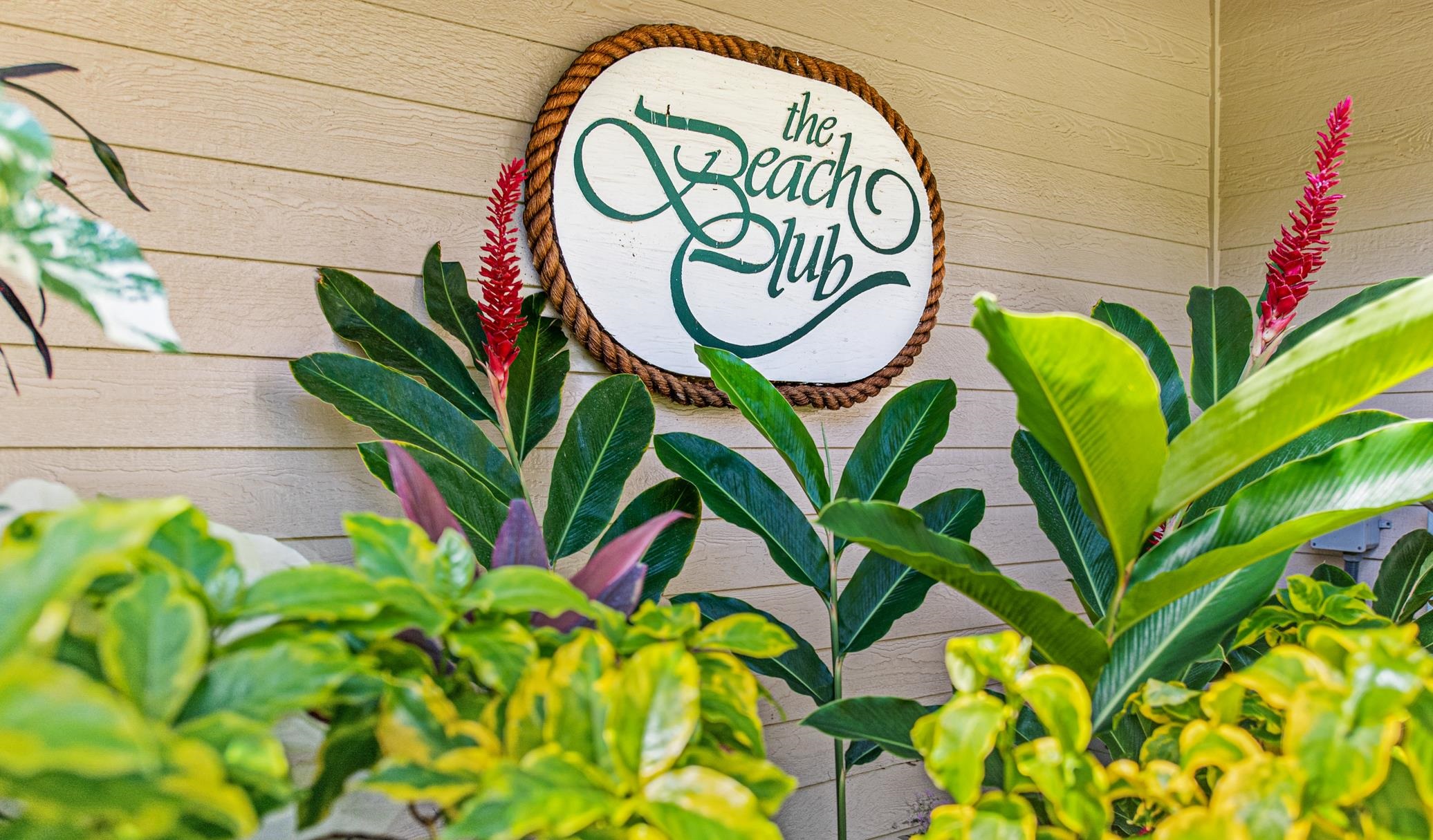 Kaanapali Shores condo # 324, Lahaina, Hawaii - photo 32 of 41