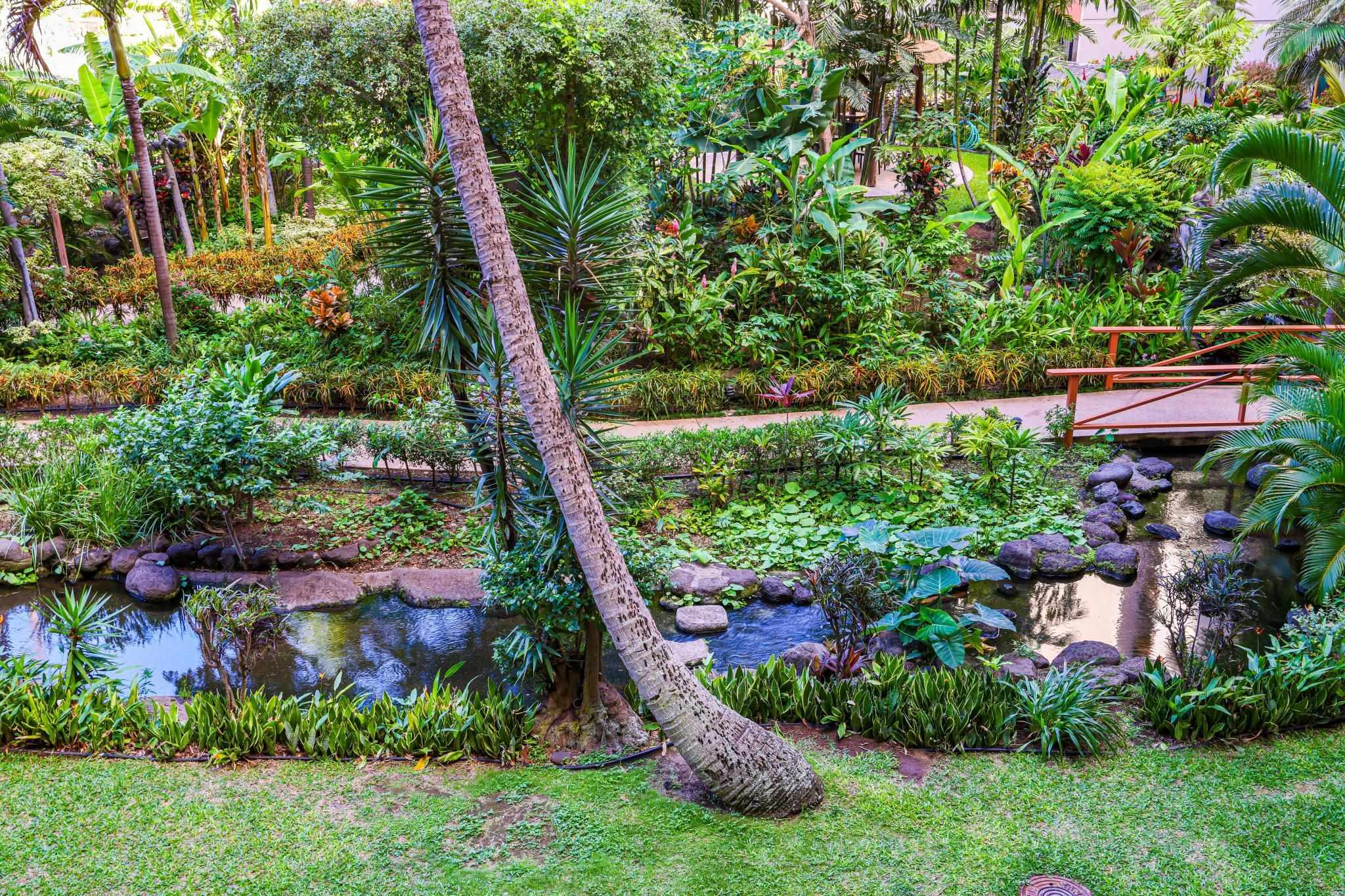 Kaanapali Shores condo # 337, Lahaina, Hawaii - photo 10 of 40