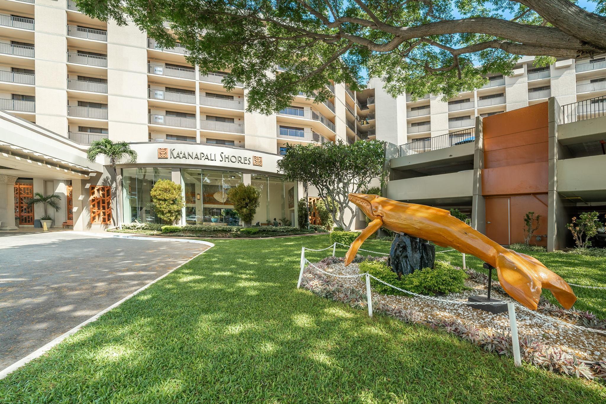 Kaanapali Shores condo # 361, Lahaina, Hawaii - photo 37 of 48