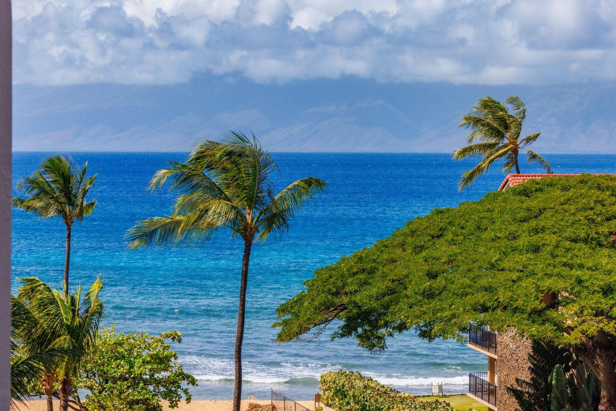 Kaanapali Shores condo # 414, Lahaina, Hawaii - photo 3 of 34