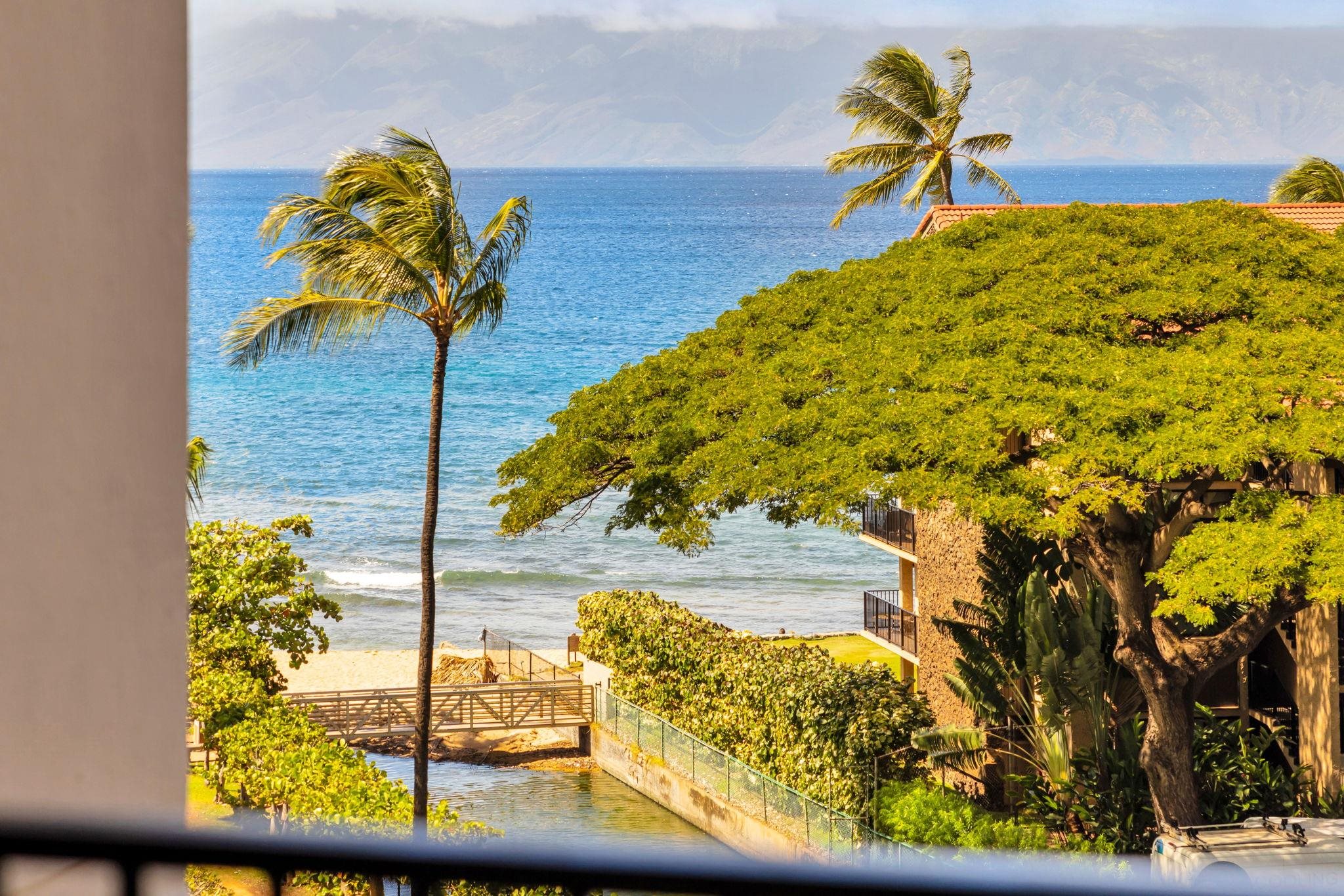 Kaanapali Shores condo # 414, Lahaina, Hawaii - photo 4 of 34