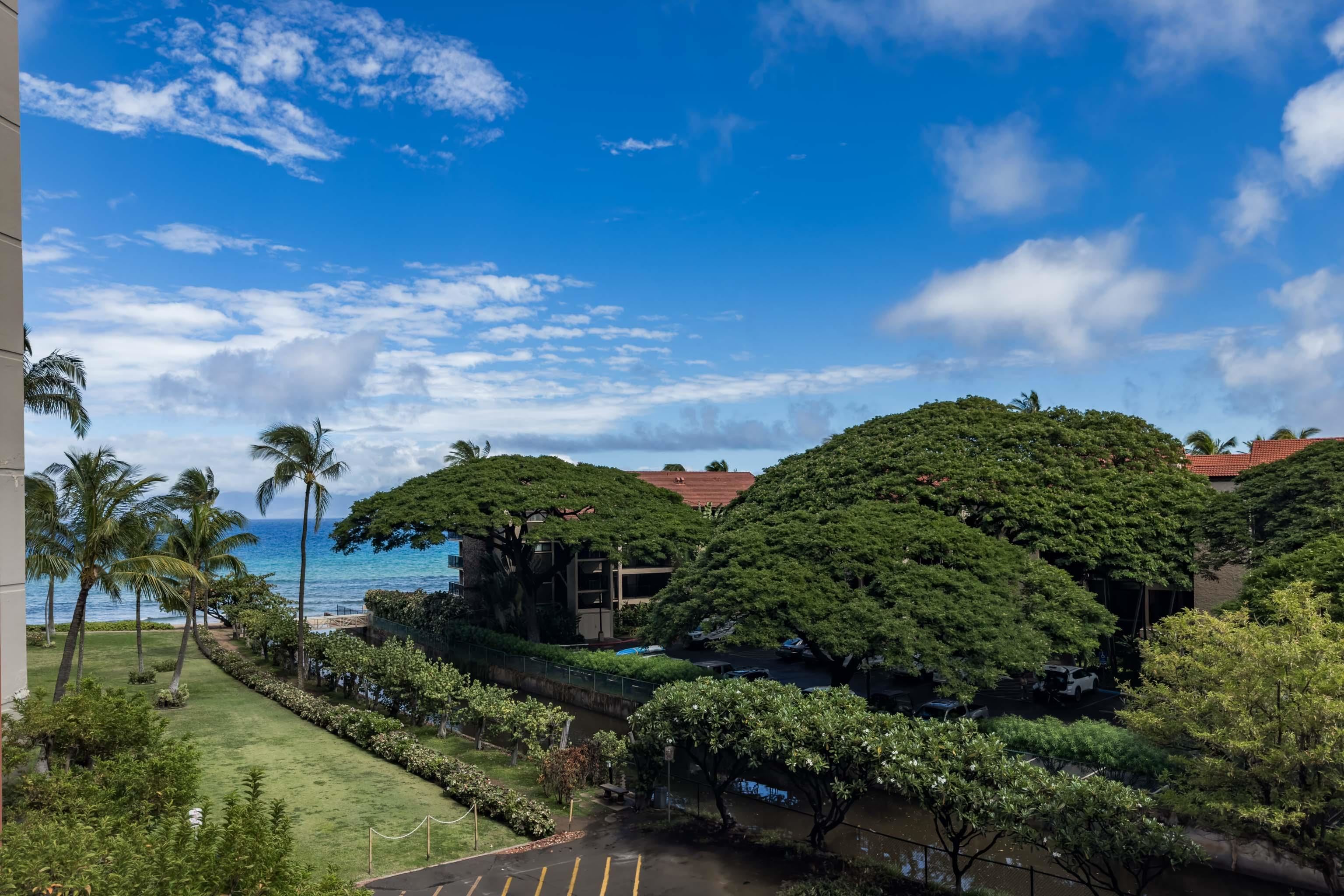 Kaanapali Shores condo # 416, Lahaina, Hawaii - photo 27 of 50