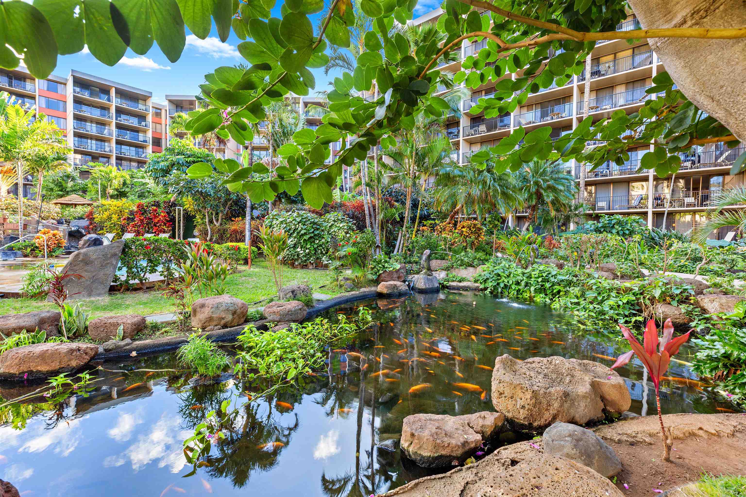 Kaanapali Shores condo # 433, Lahaina, Hawaii - photo 20 of 35