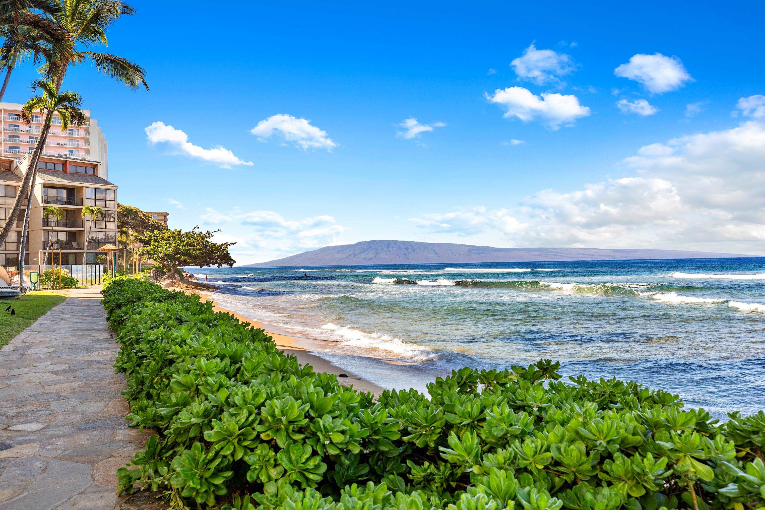 Kaanapali Shores condo # 433, Lahaina, Hawaii - photo 35 of 35