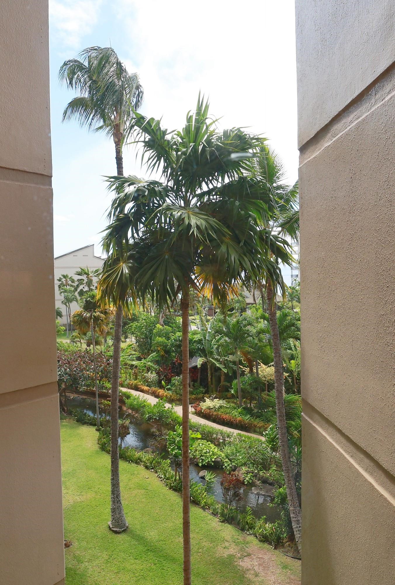 Kaanapali Shores condo # 435, Lahaina, Hawaii - photo 21 of 27