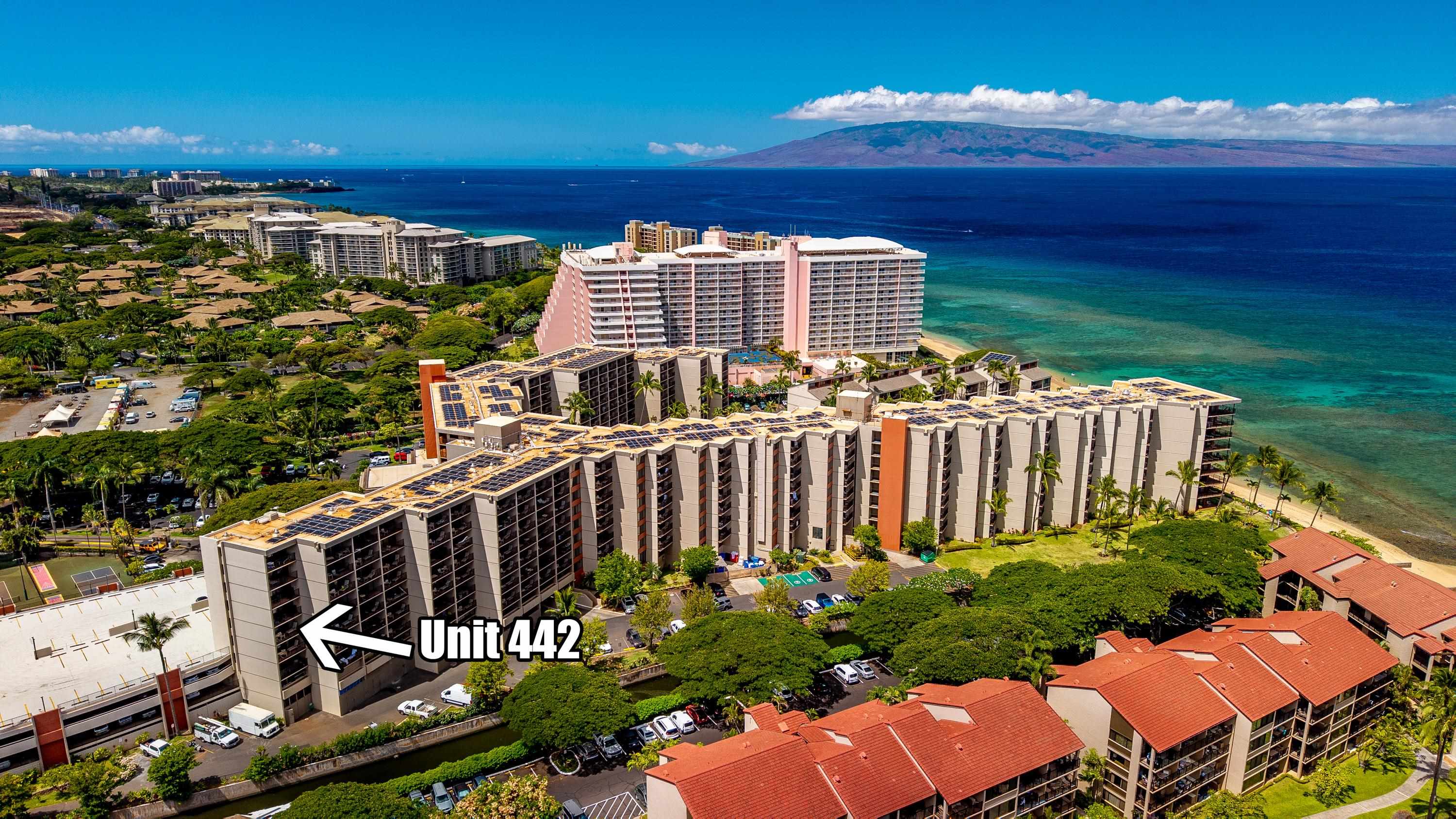 Kaanapali Shores condo # 442, Lahaina, Hawaii - photo 22 of 22