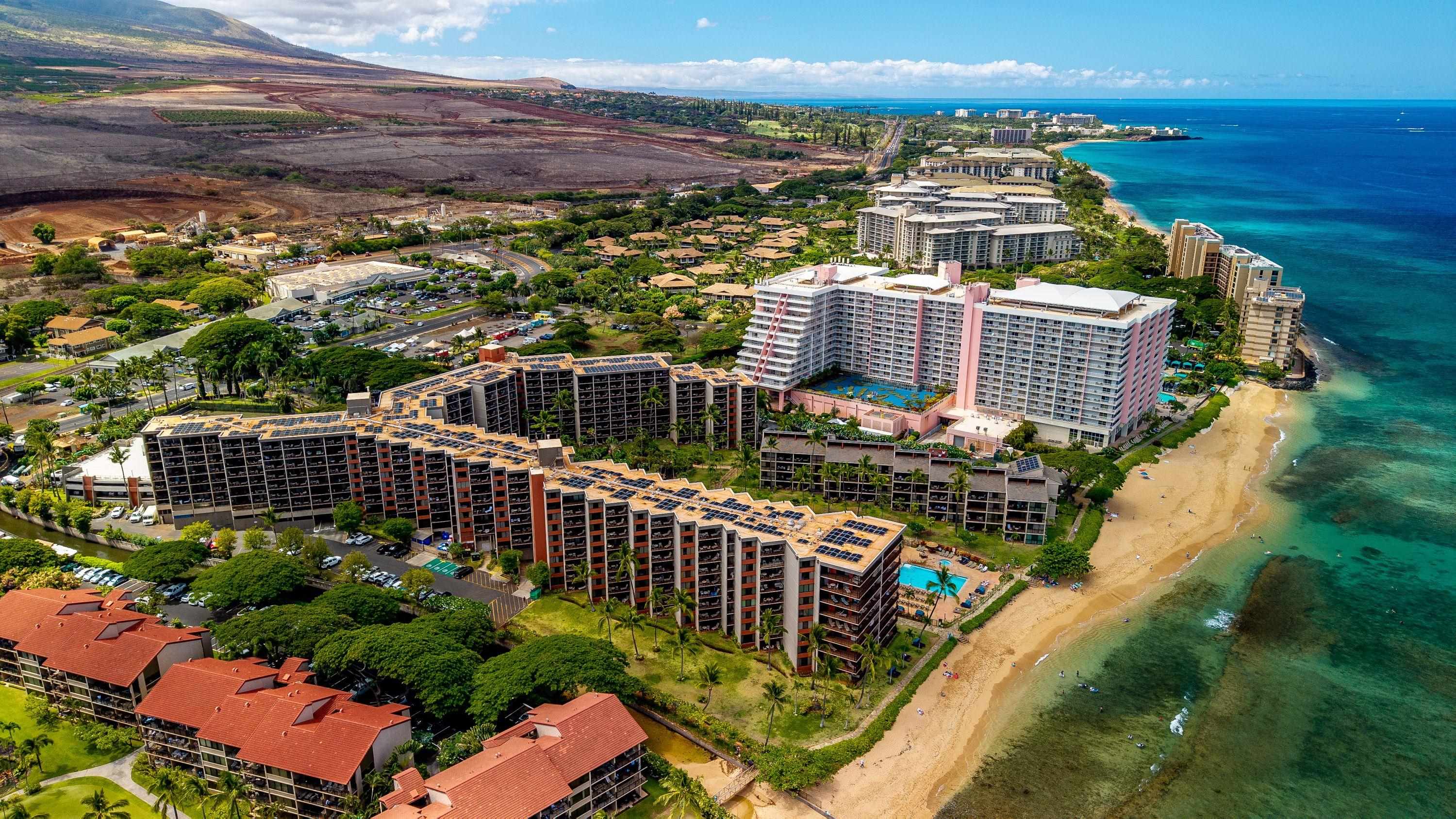 Kaanapali Shores condo # 442, Lahaina, Hawaii - photo 17 of 24