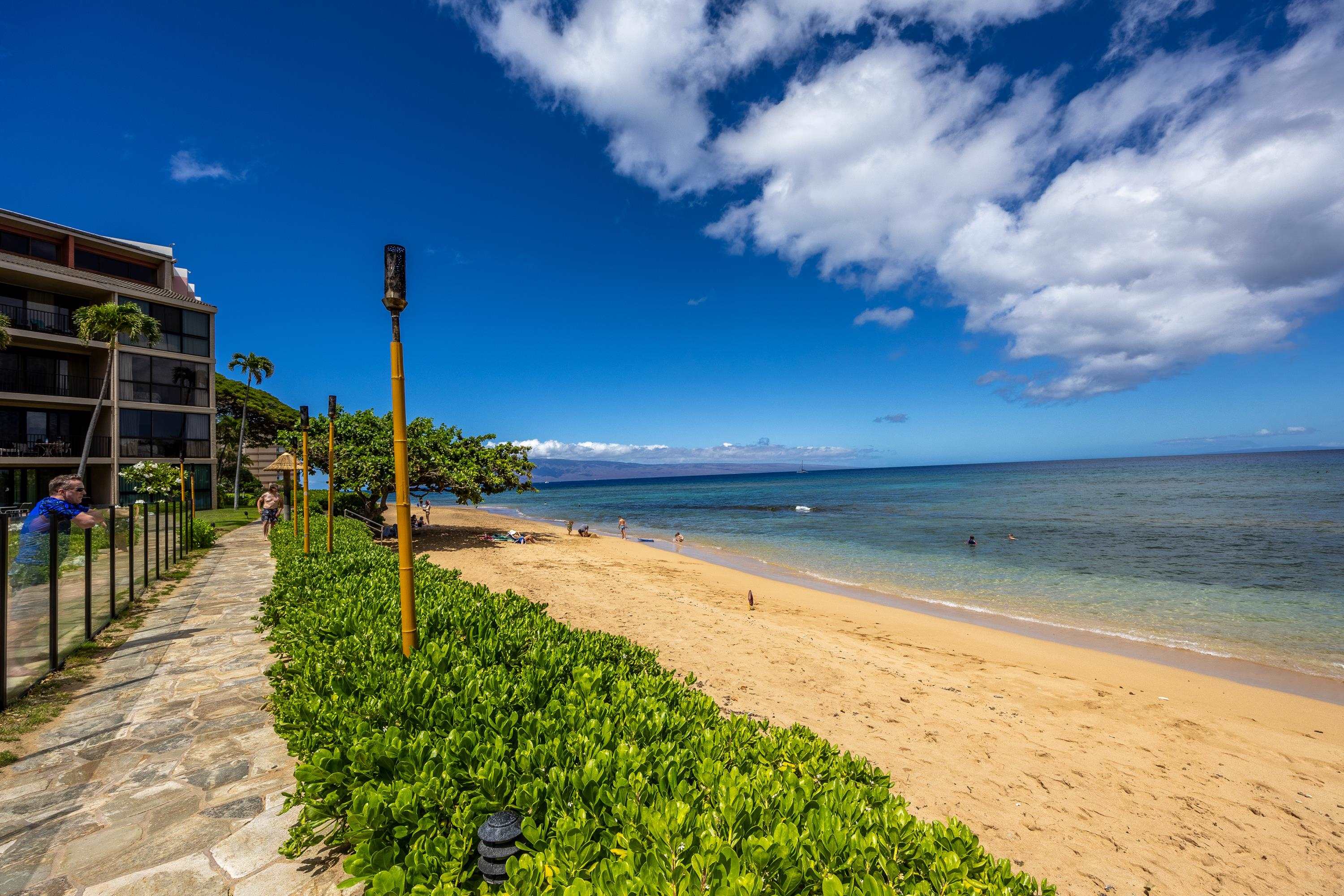Kaanapali Shores condo # 442, Lahaina, Hawaii - photo 7 of 24