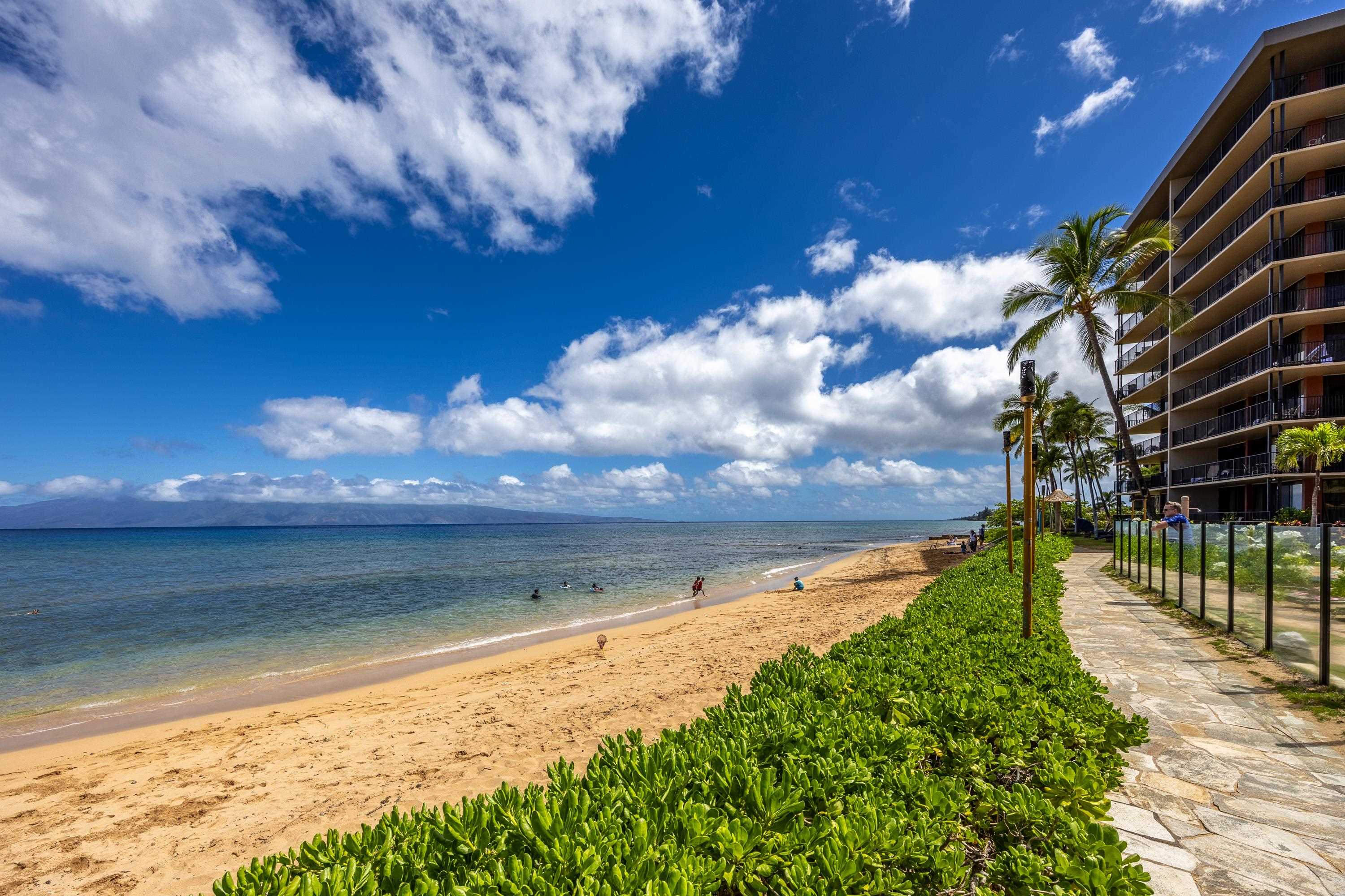 Kaanapali Shores condo # 442, Lahaina, Hawaii - photo 8 of 24