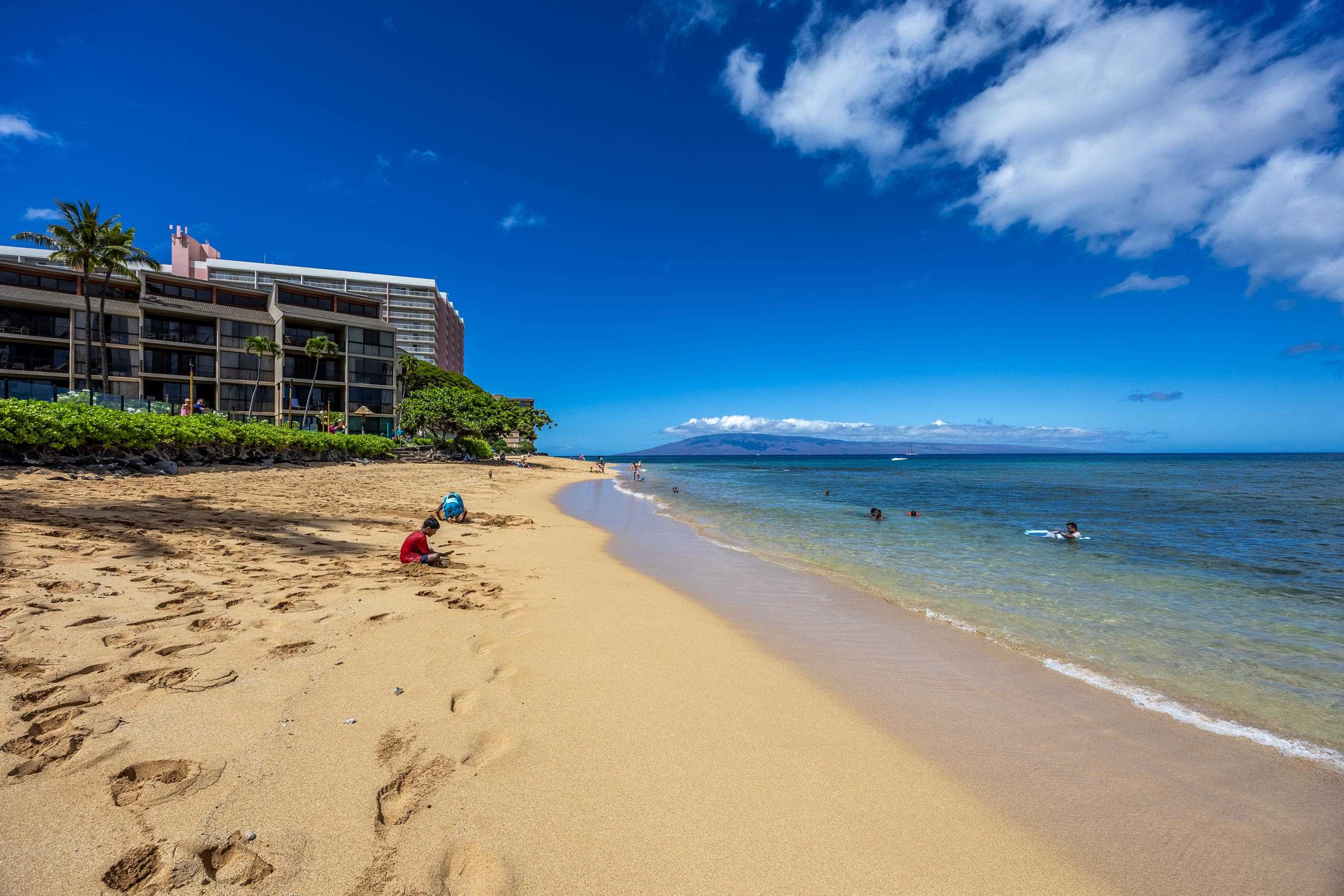 Kaanapali Shores condo # 442, Lahaina, Hawaii - photo 9 of 24