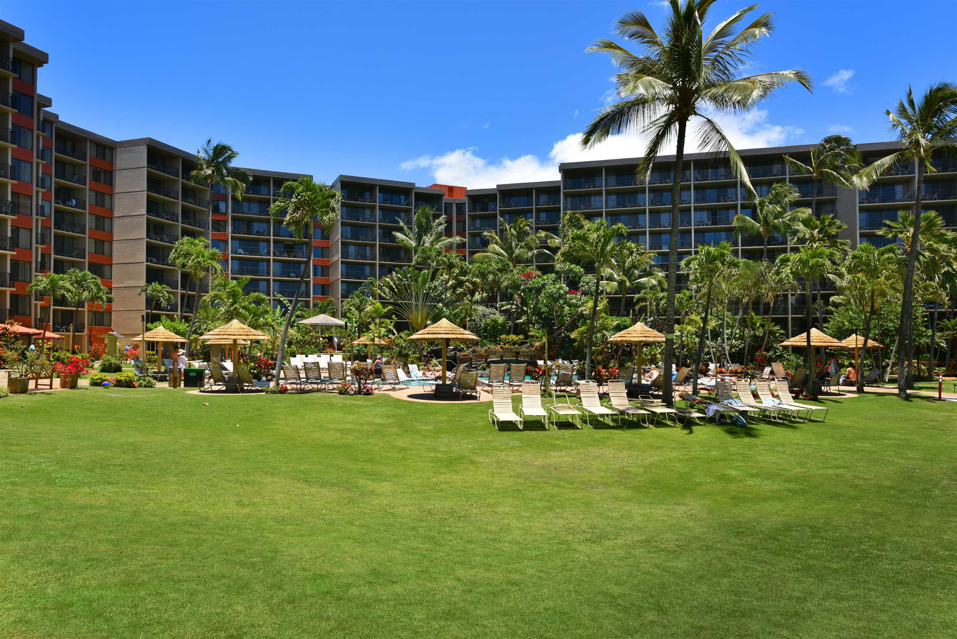 Kaanapali Shores condo # 450, Lahaina, Hawaii - photo 36 of 50