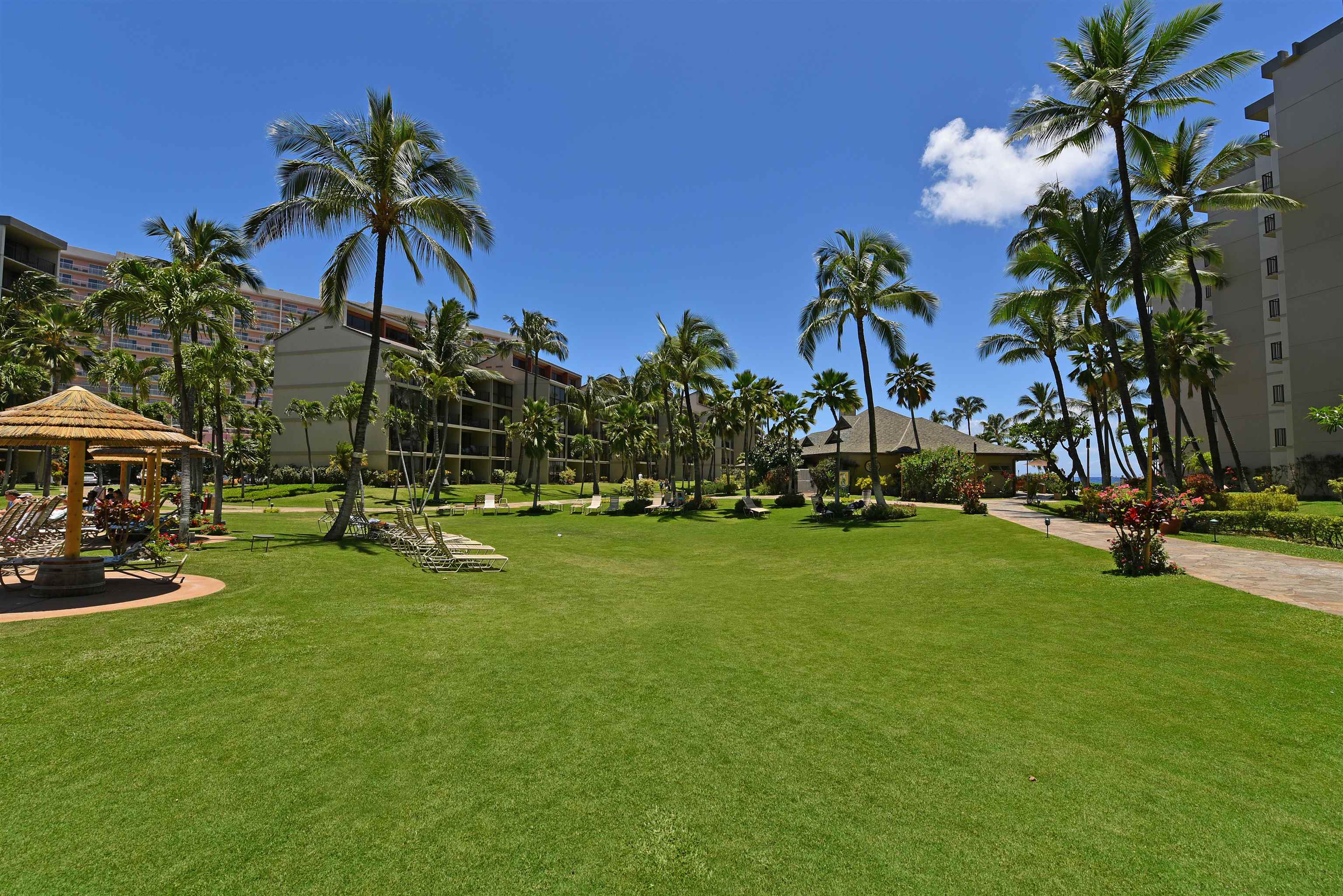 Kaanapali Shores condo # 450, Lahaina, Hawaii - photo 37 of 50
