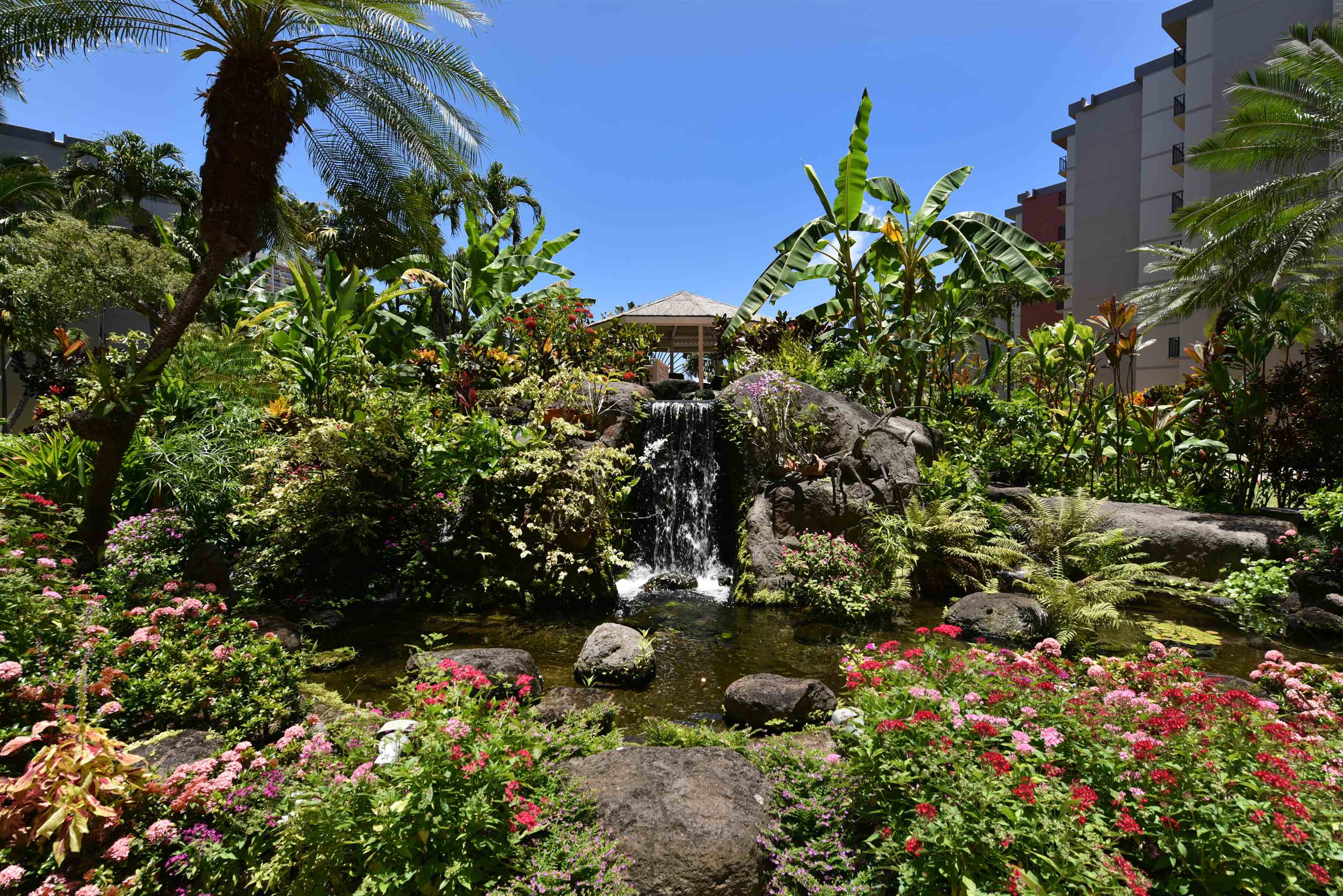 Kaanapali Shores condo # 450, Lahaina, Hawaii - photo 39 of 50